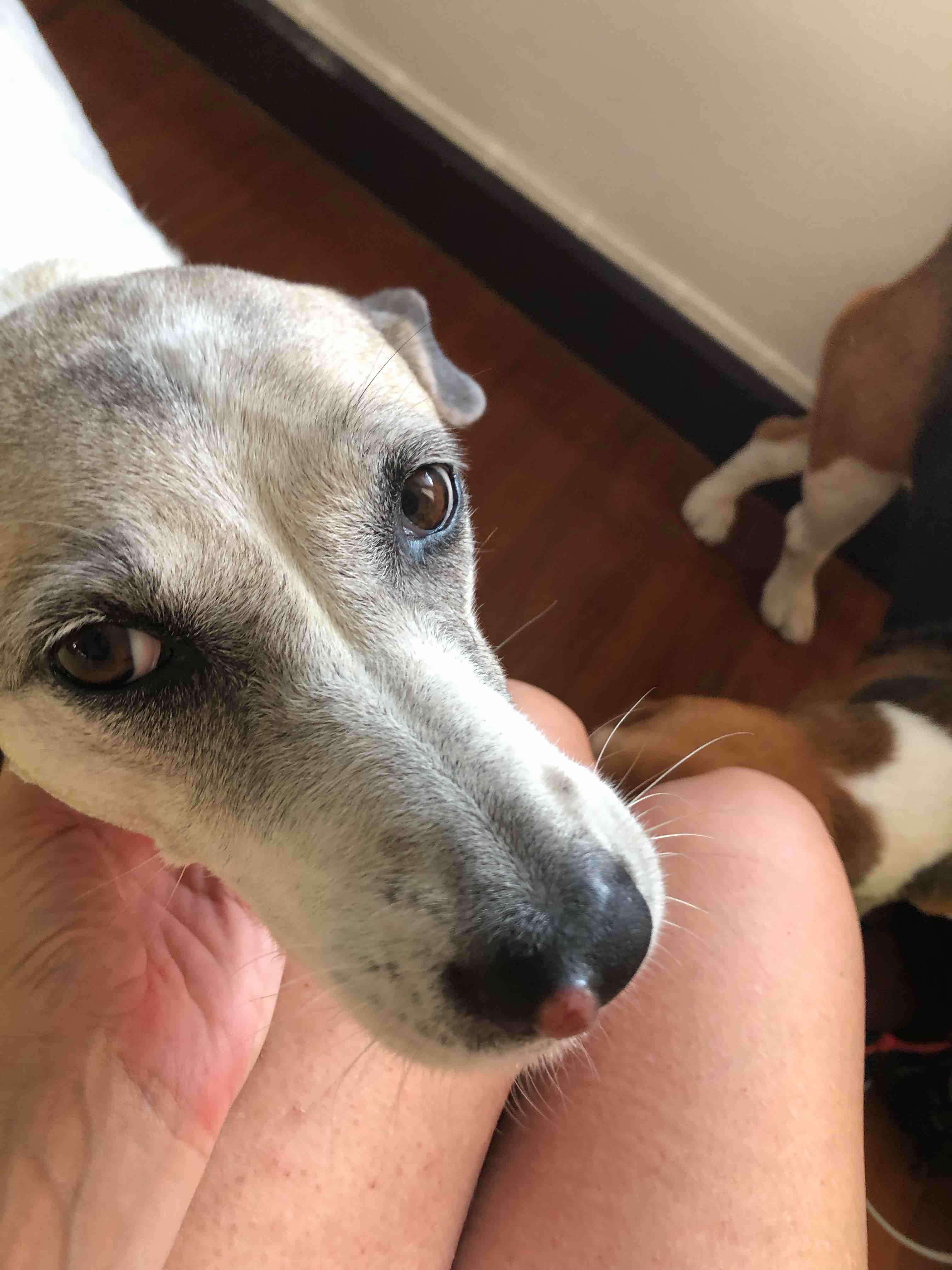 Question details sensitive content