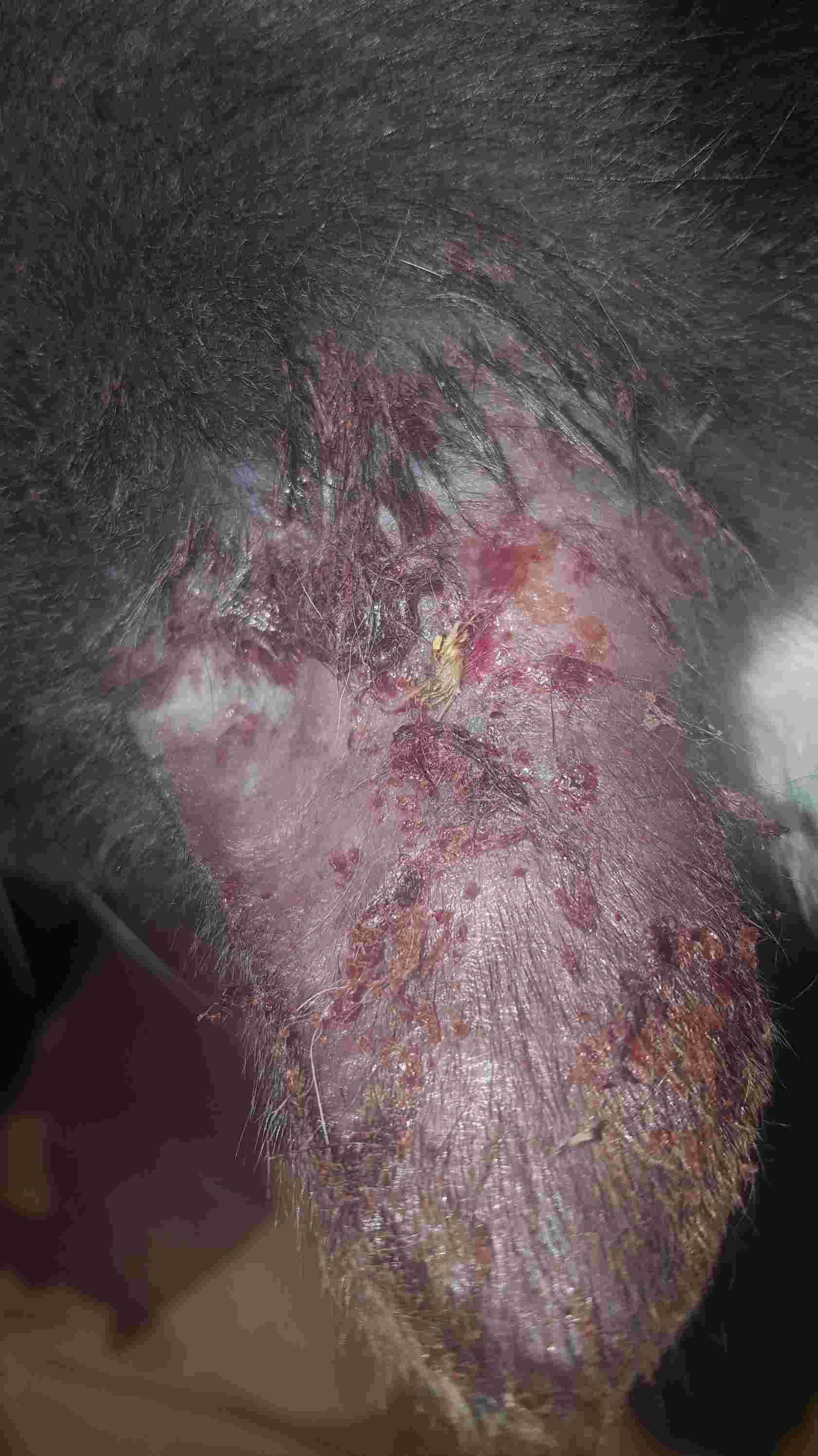 Question details sensitive content