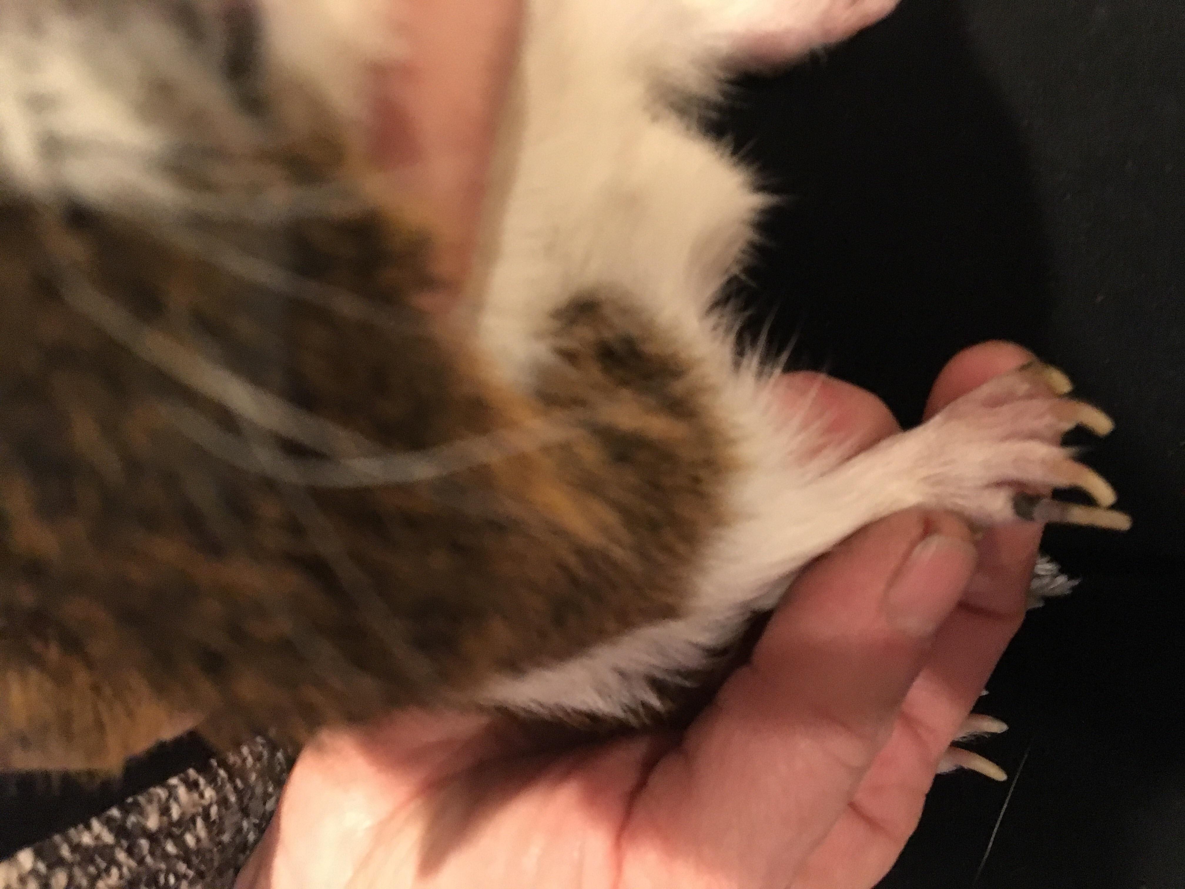 Question details sensitive content