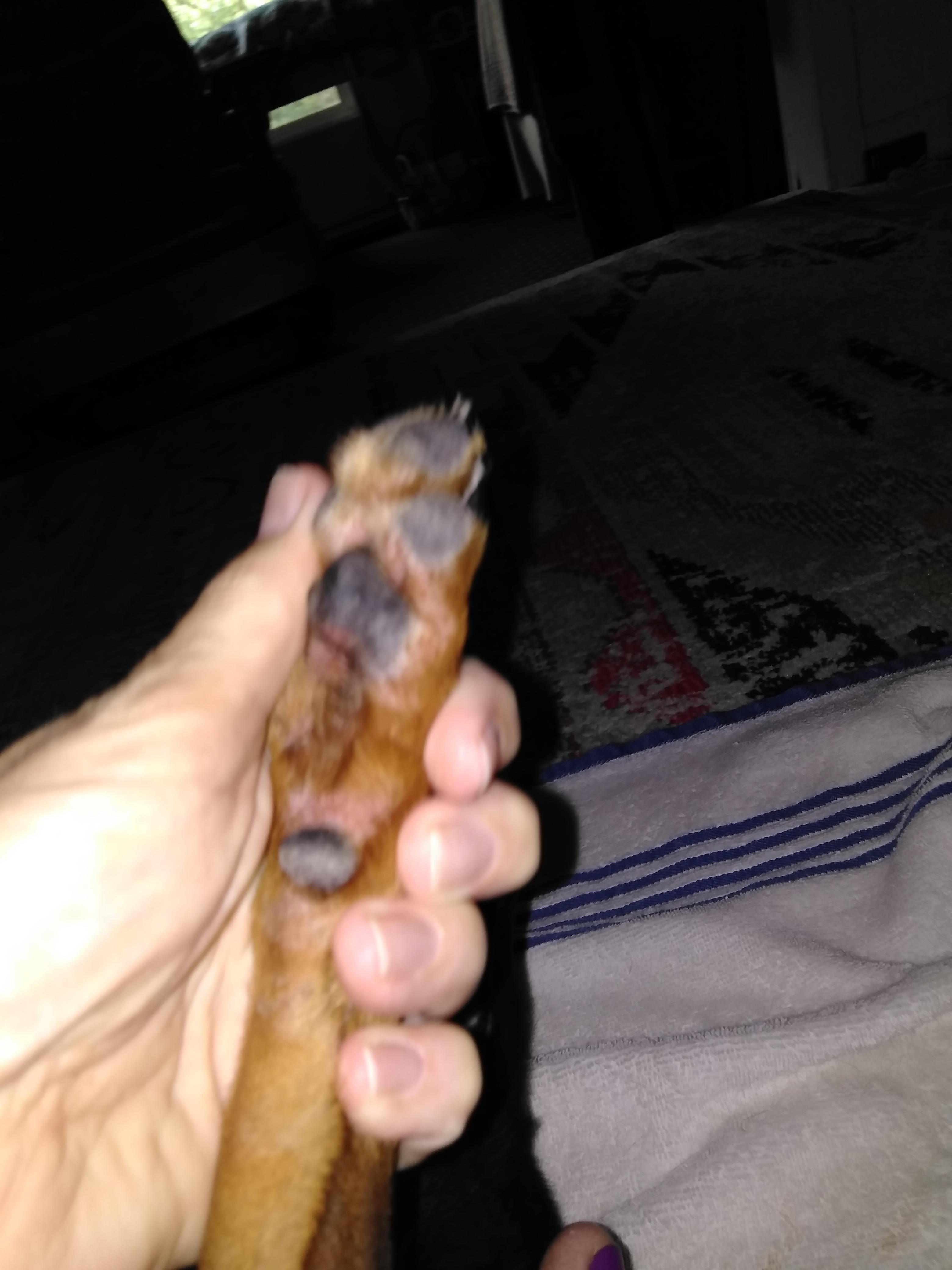 Question details sensitive content