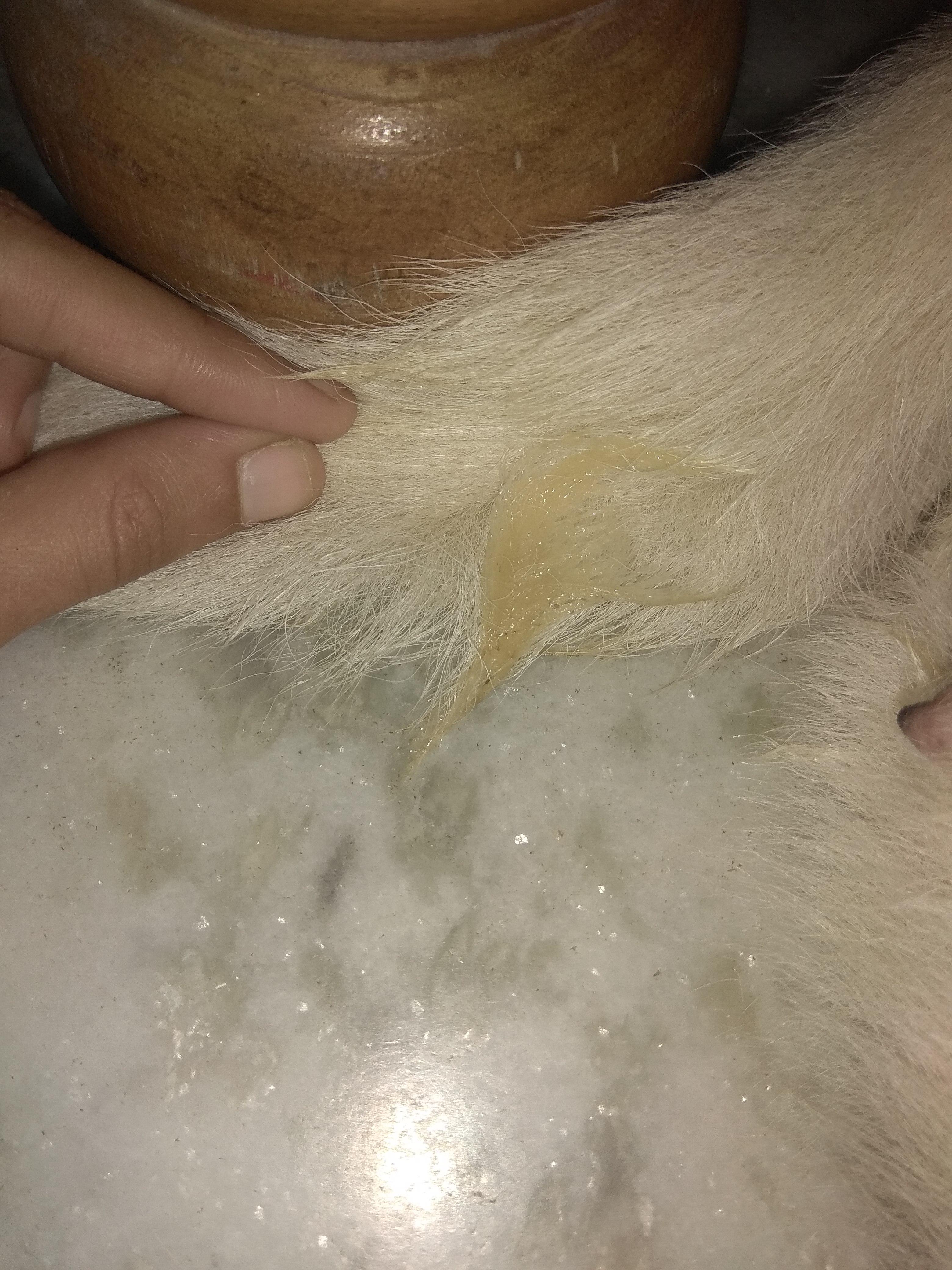 Question details sensitive content