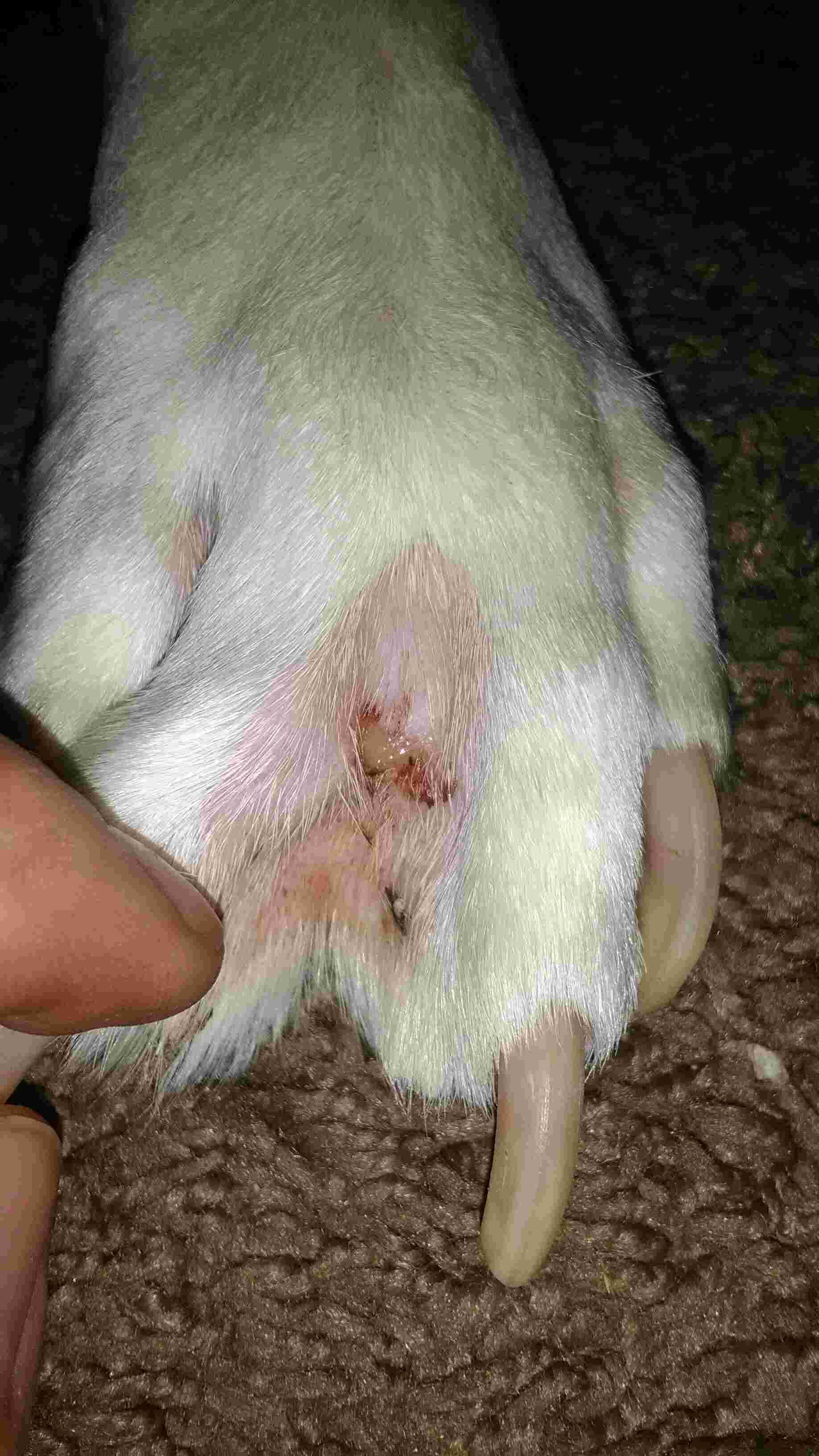 Question details sensitive content