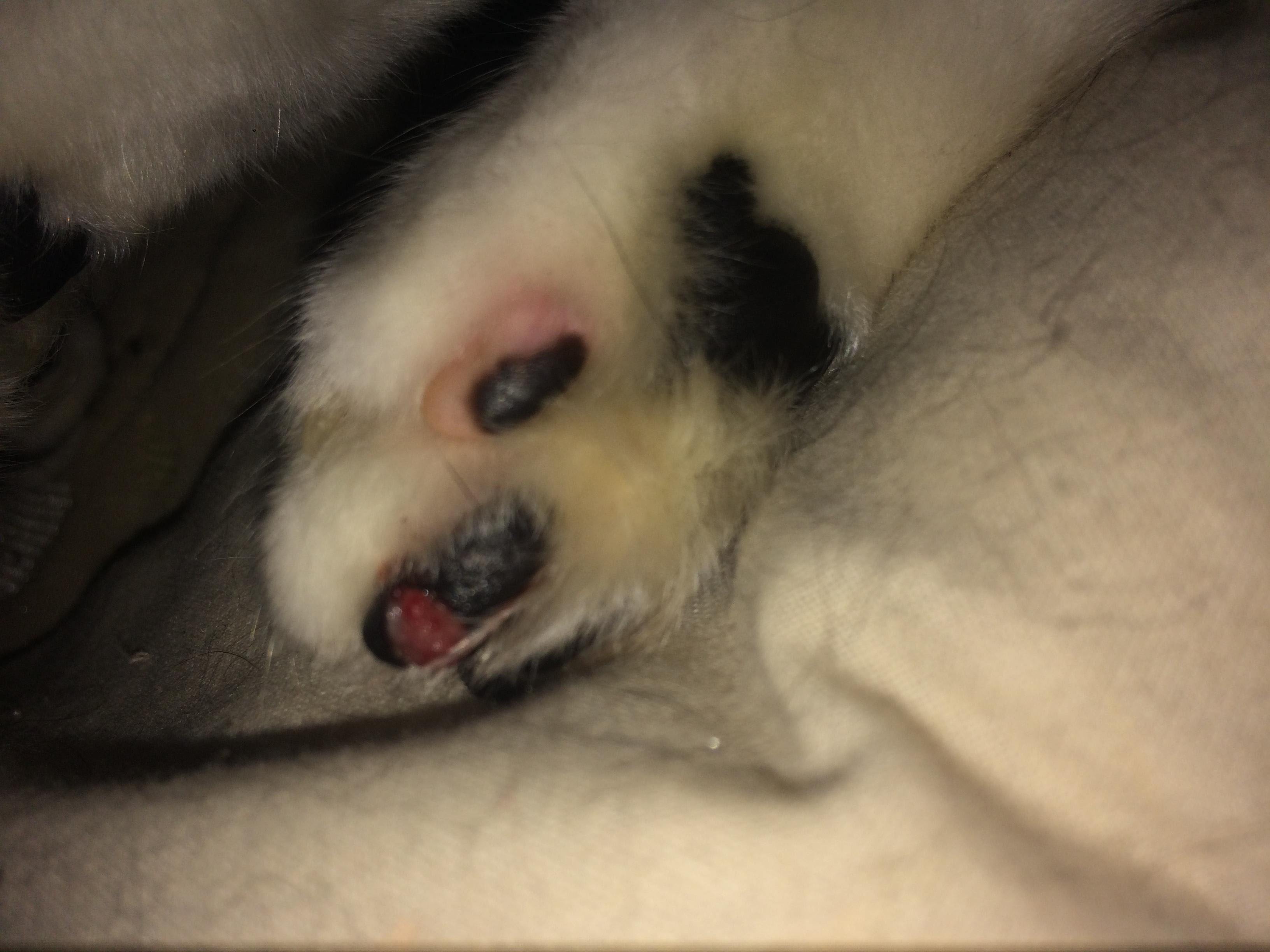 Question details sensitive content