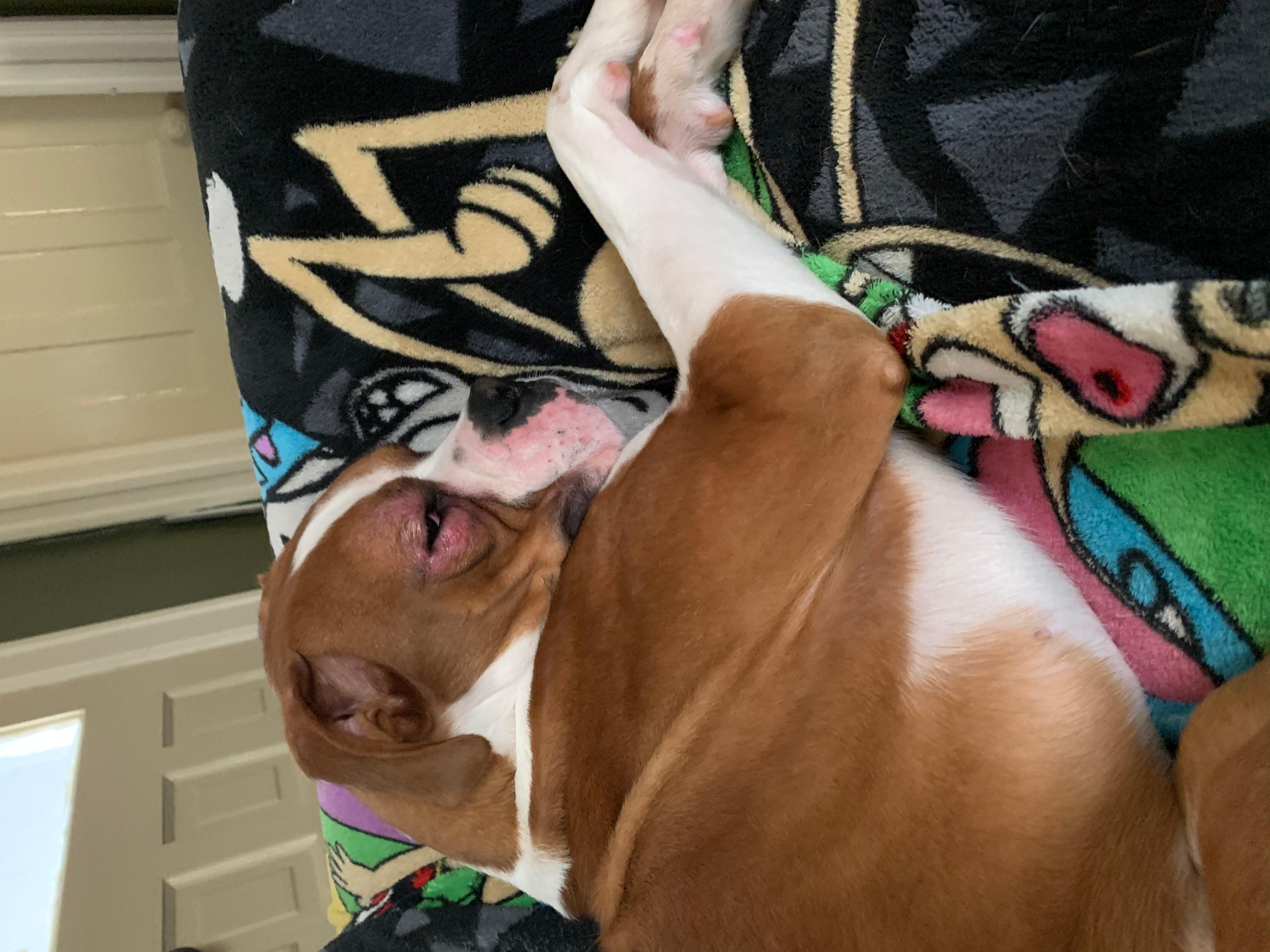 Question details sensitive content