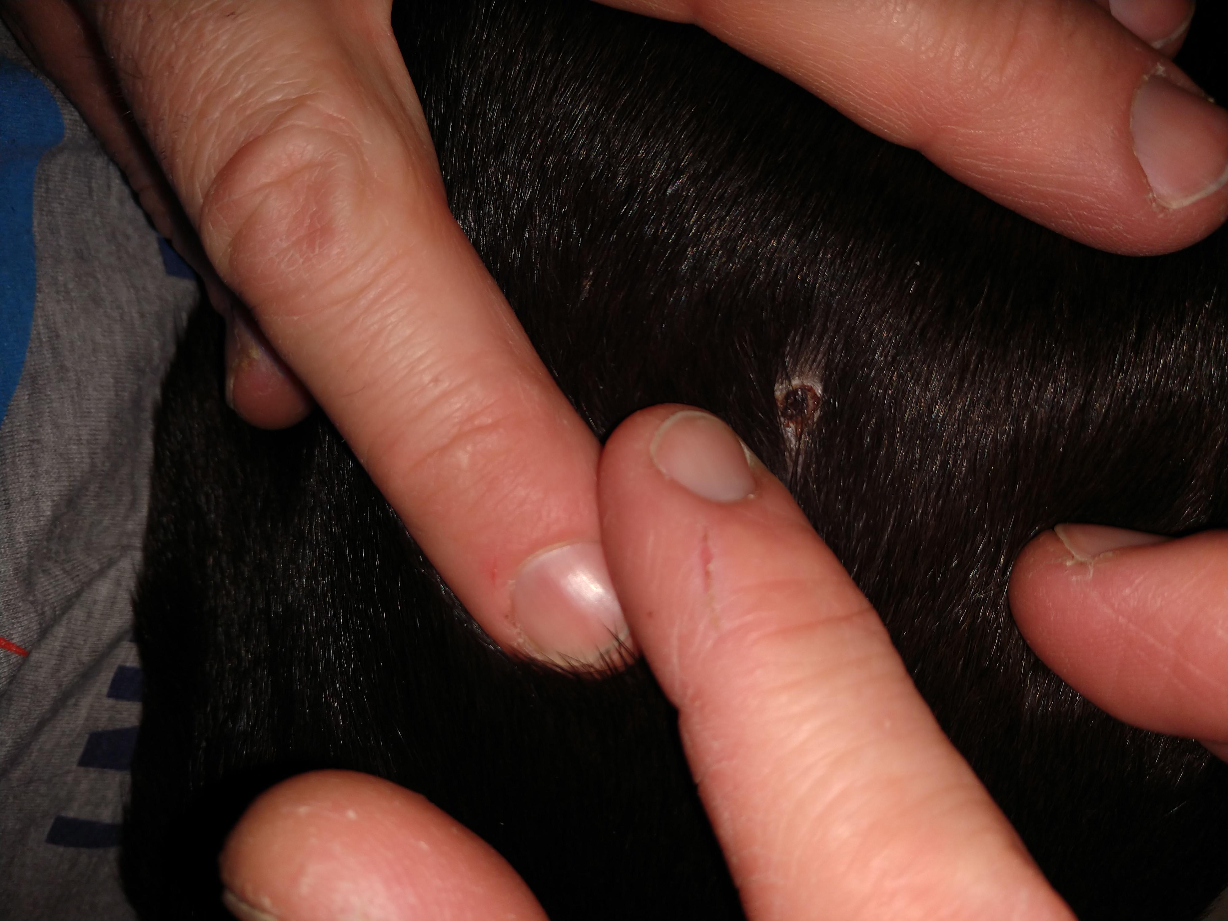 Question details sensitive content