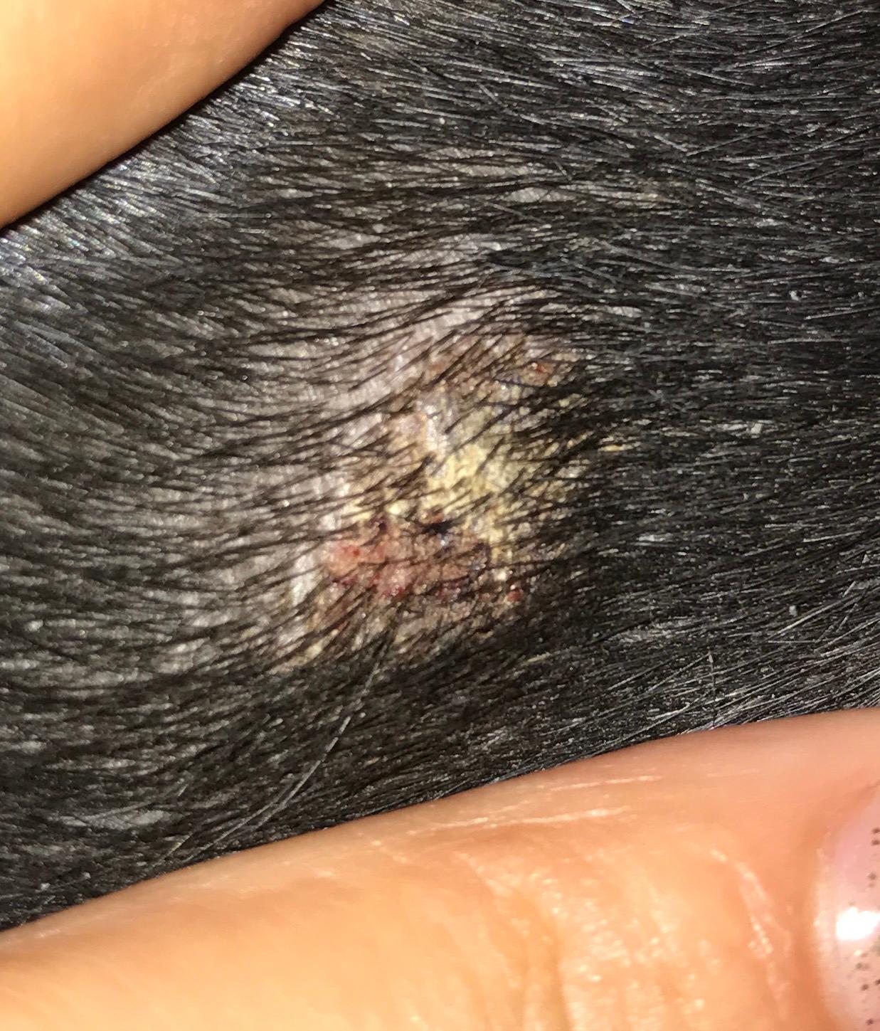 Question details sensitive content