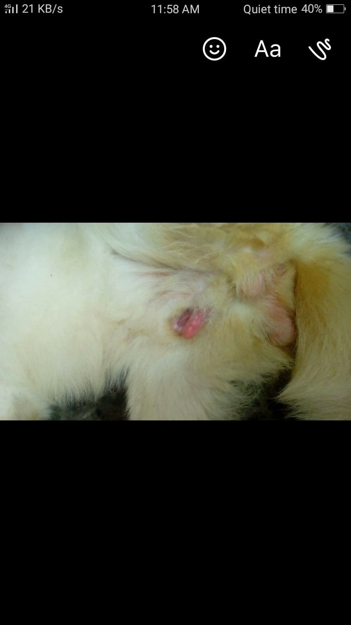 Question details sensitive content