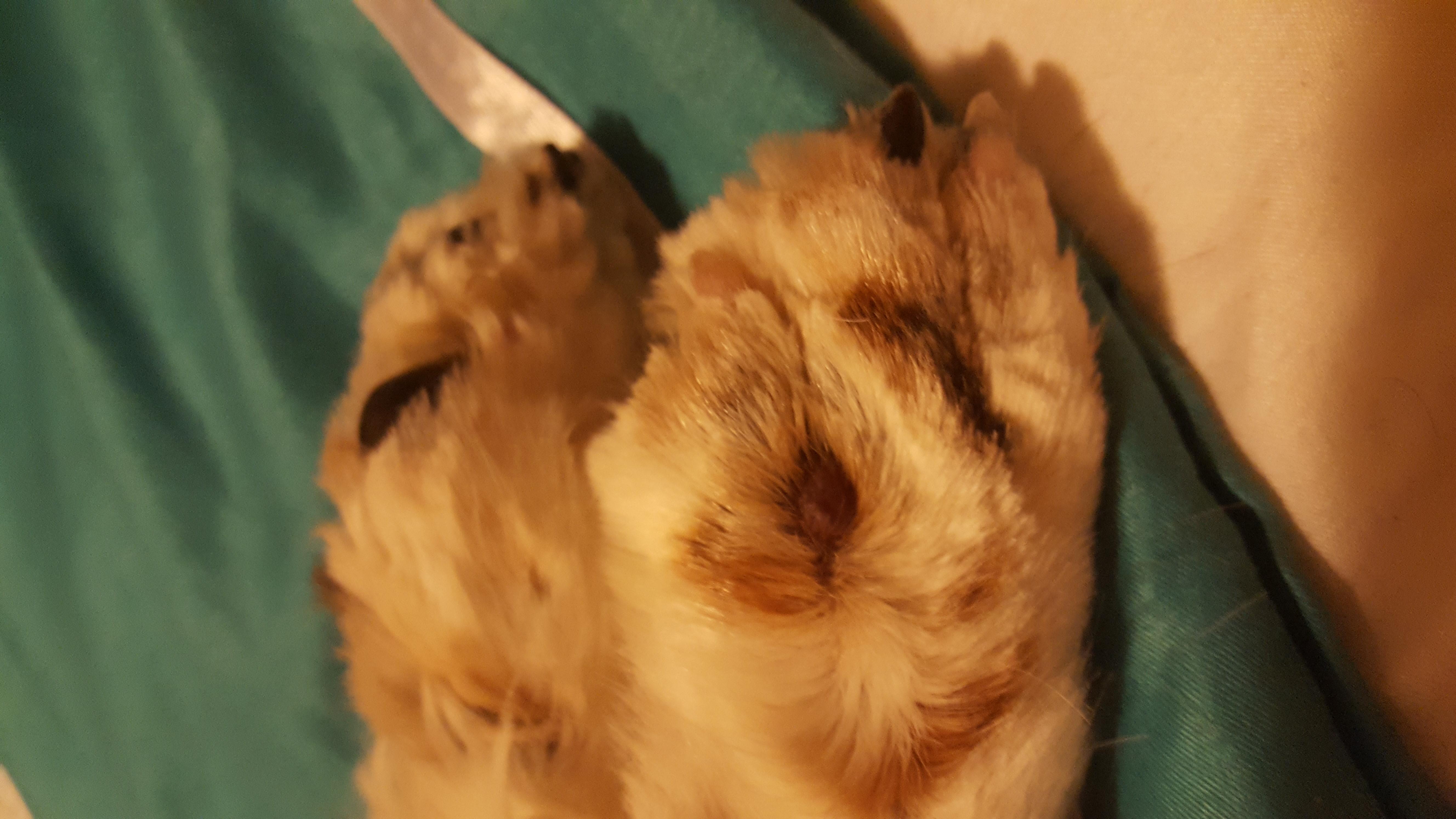 Question details sensitive content