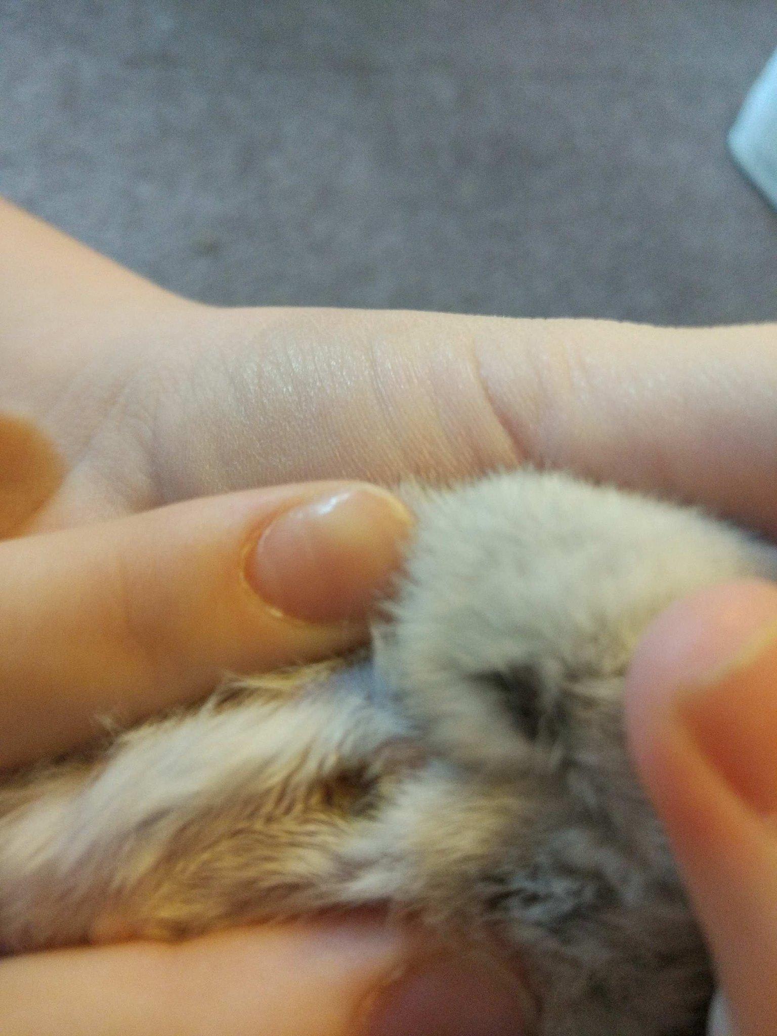 Question details sensitive content