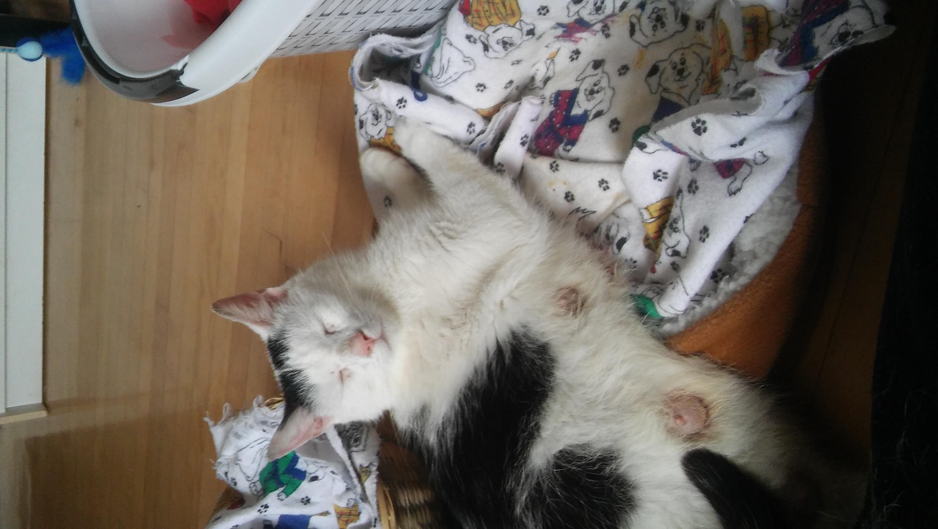 Question details sensitive content