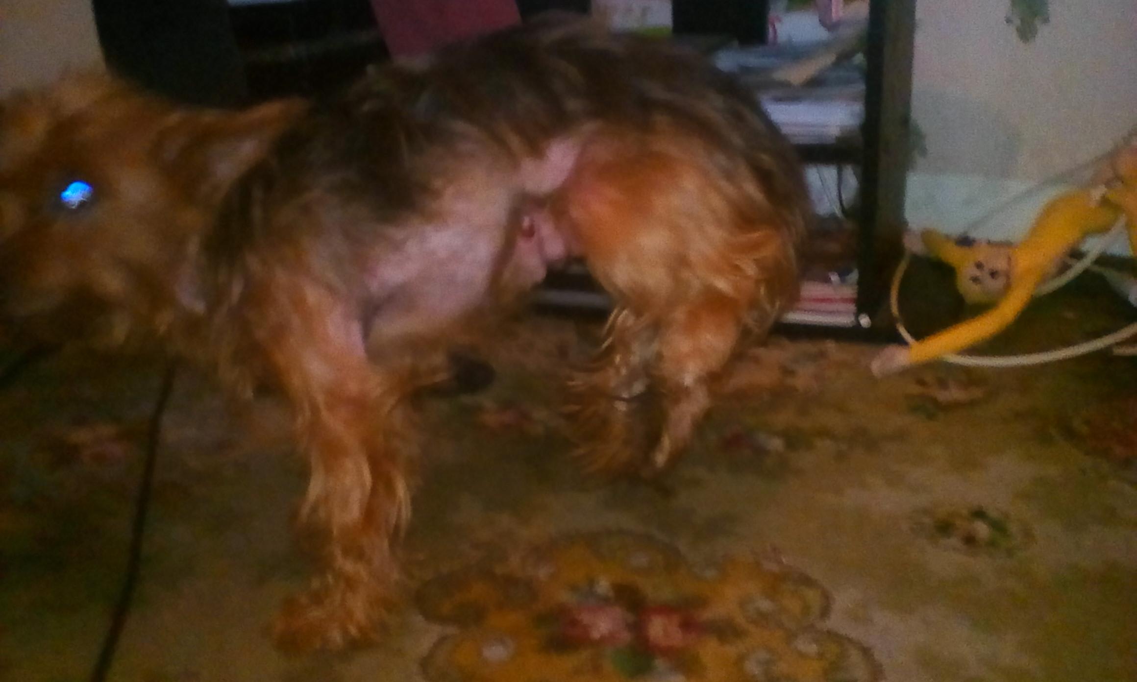 Question details sensitive content