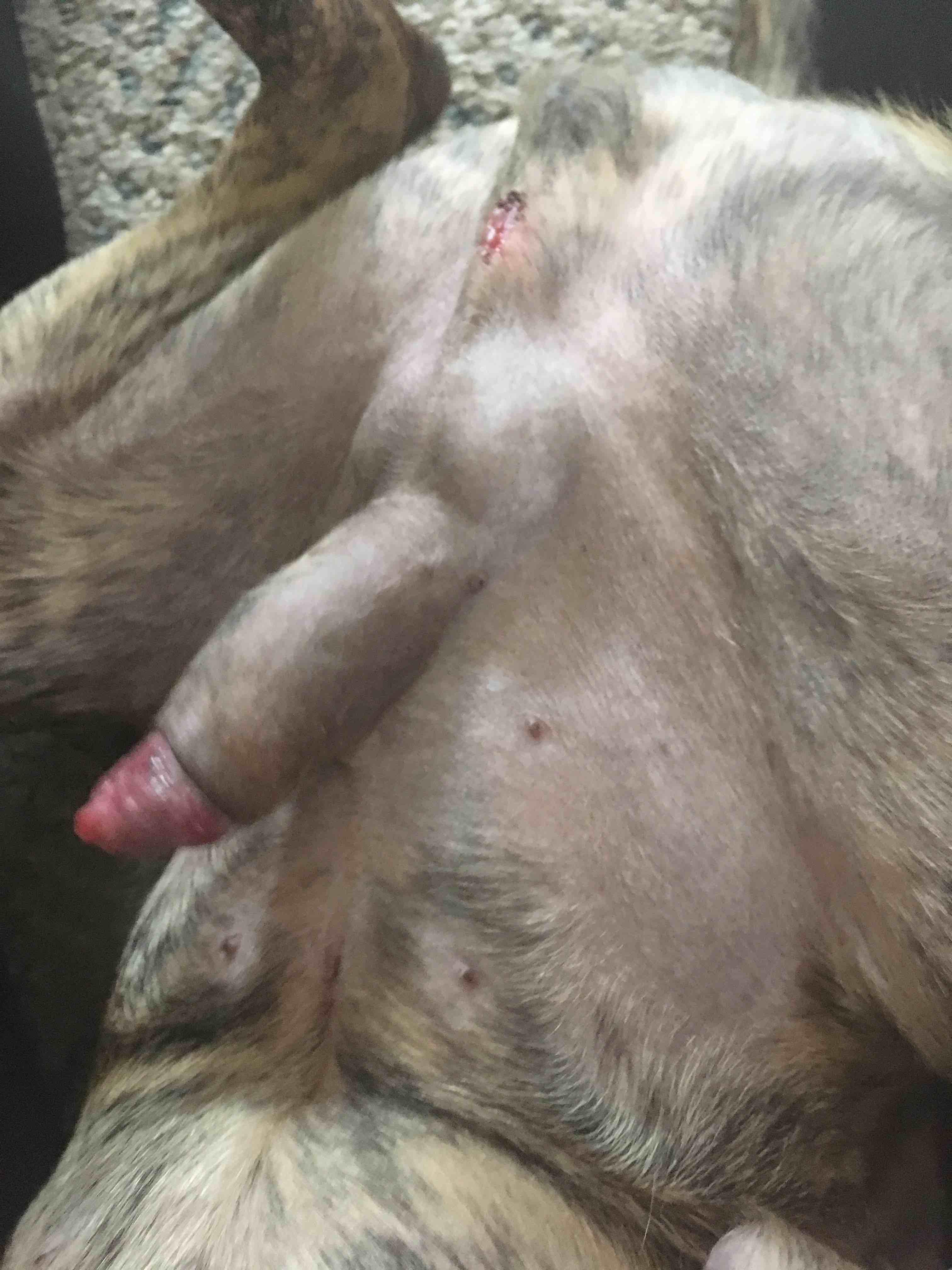 Question details sensitive content