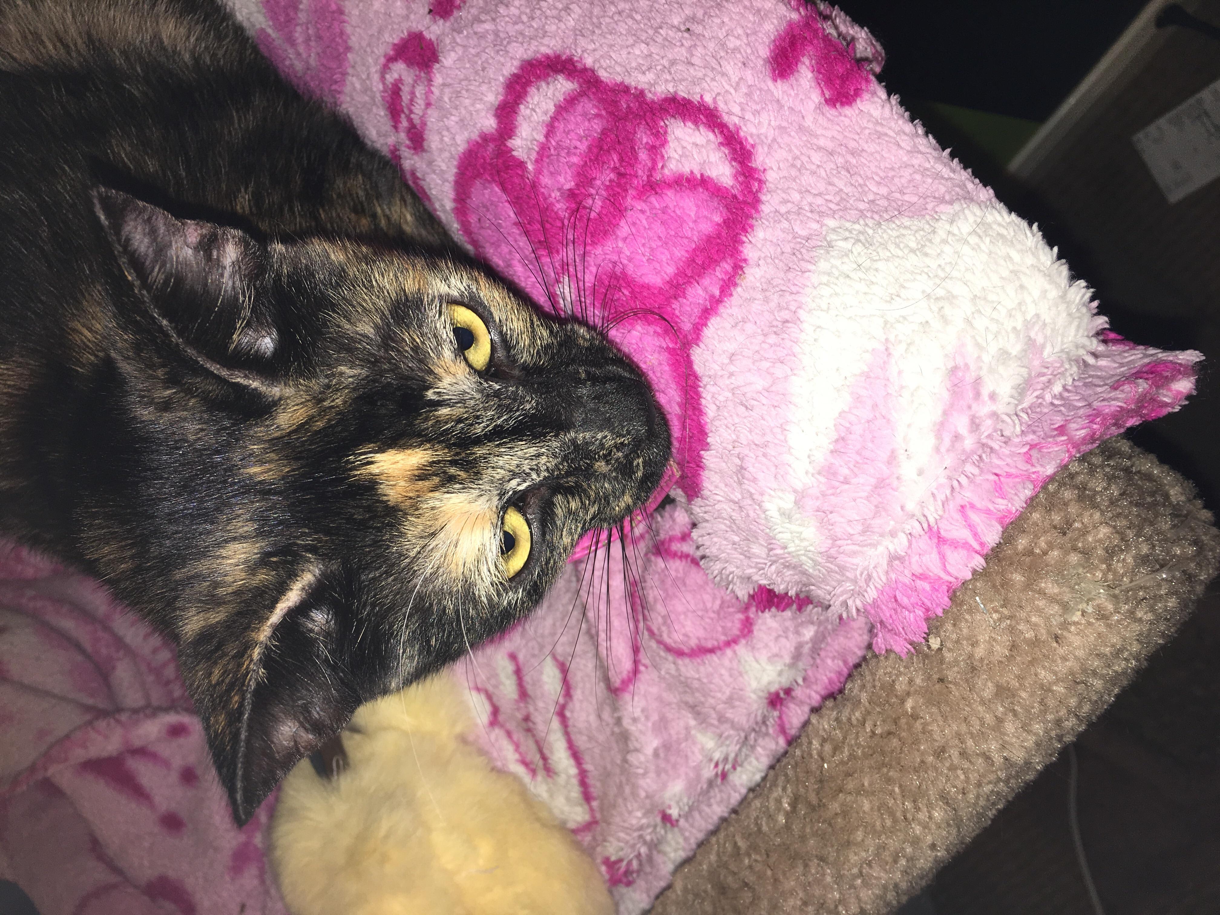 Question details sensitive content