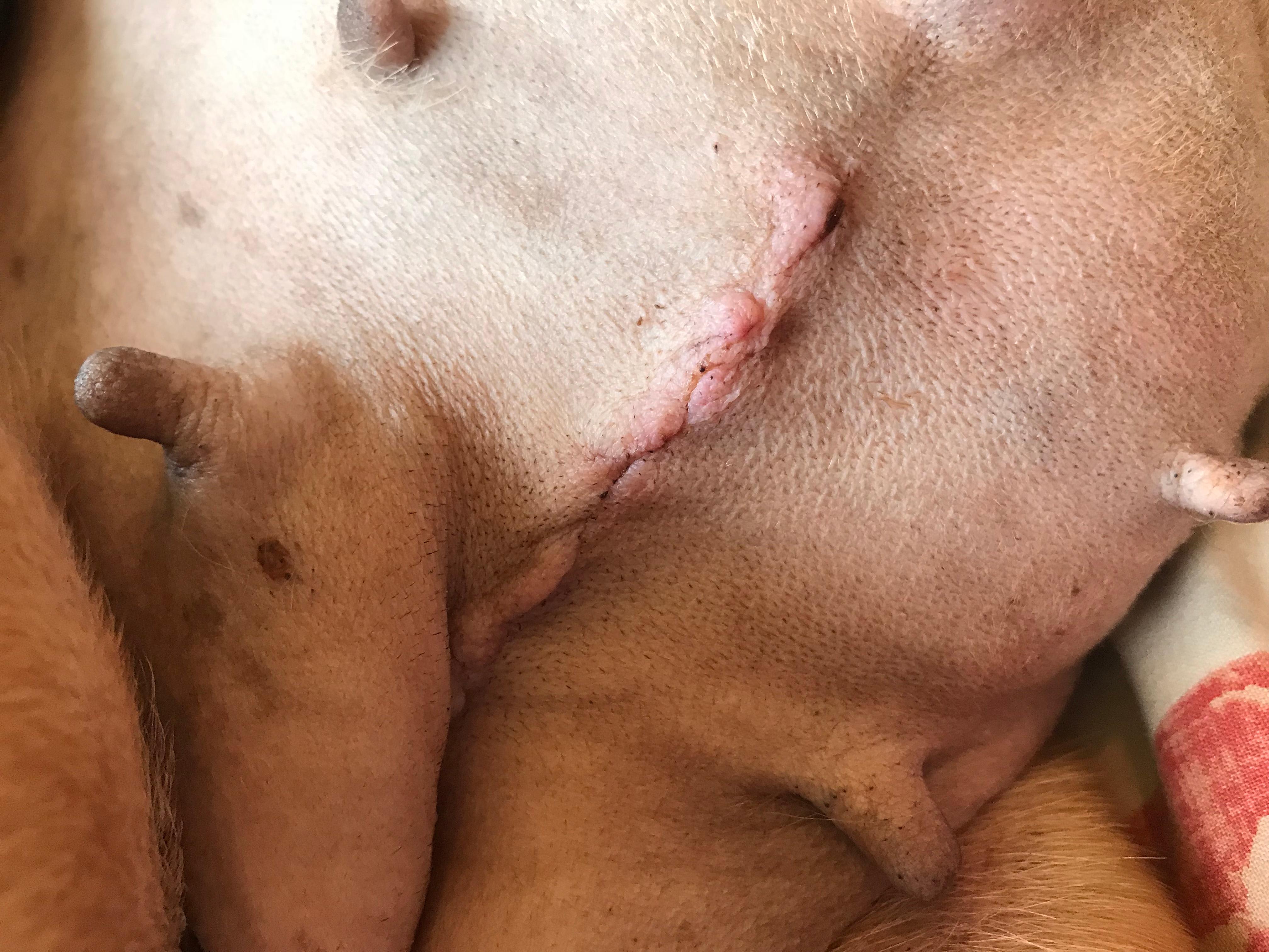 Question details sensitive content