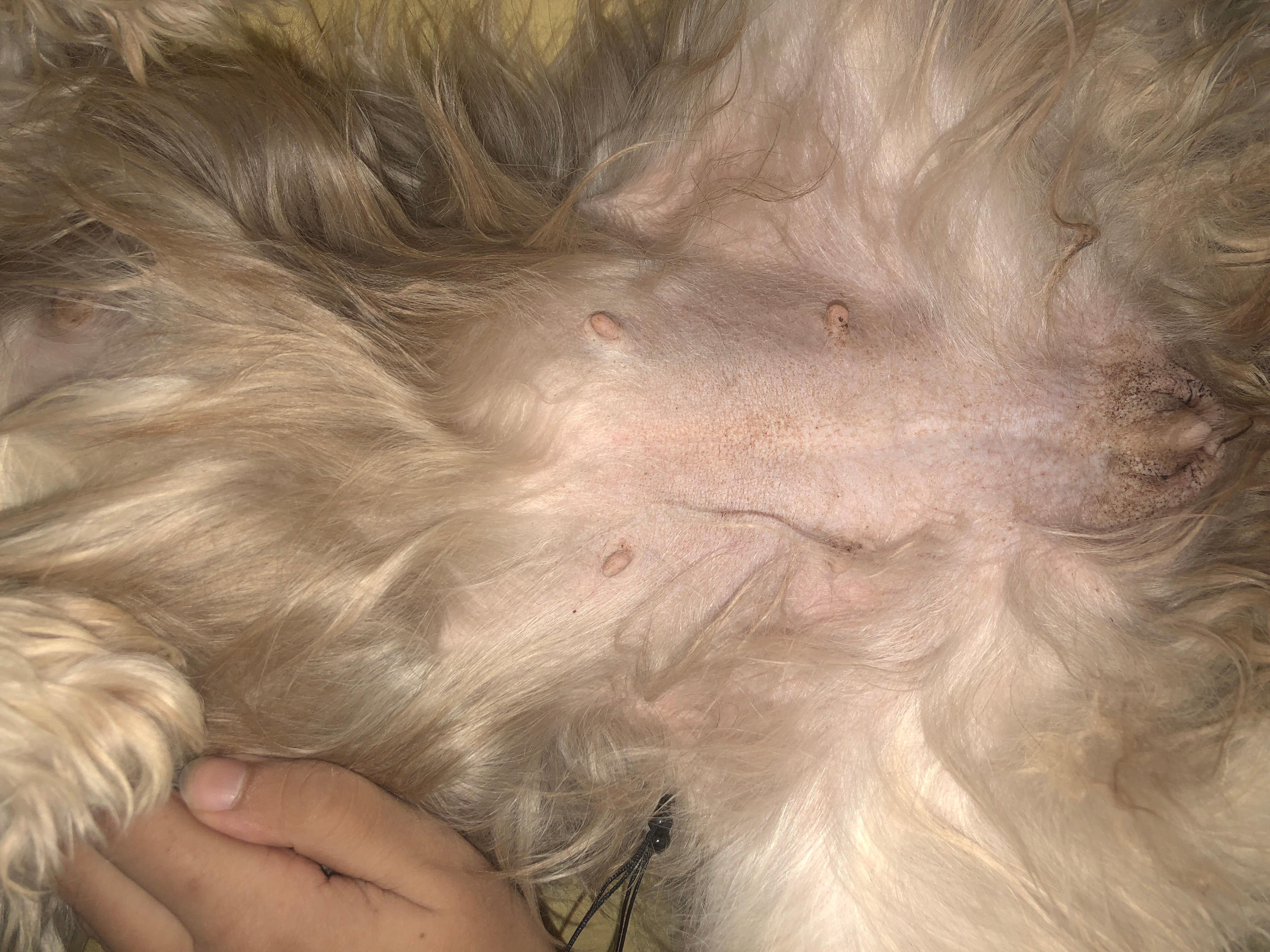 Question details sensitive content