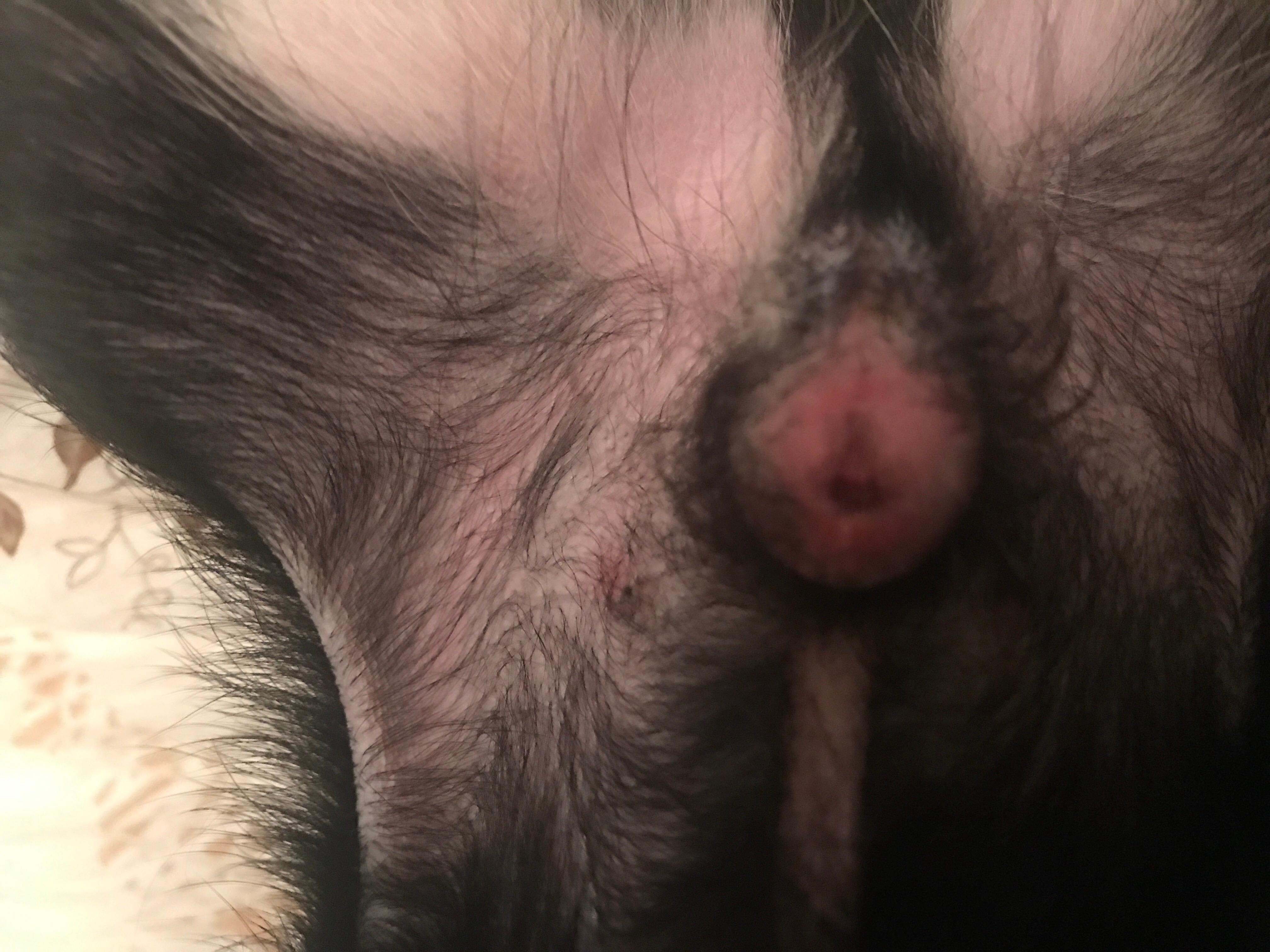 Question details sensitive content