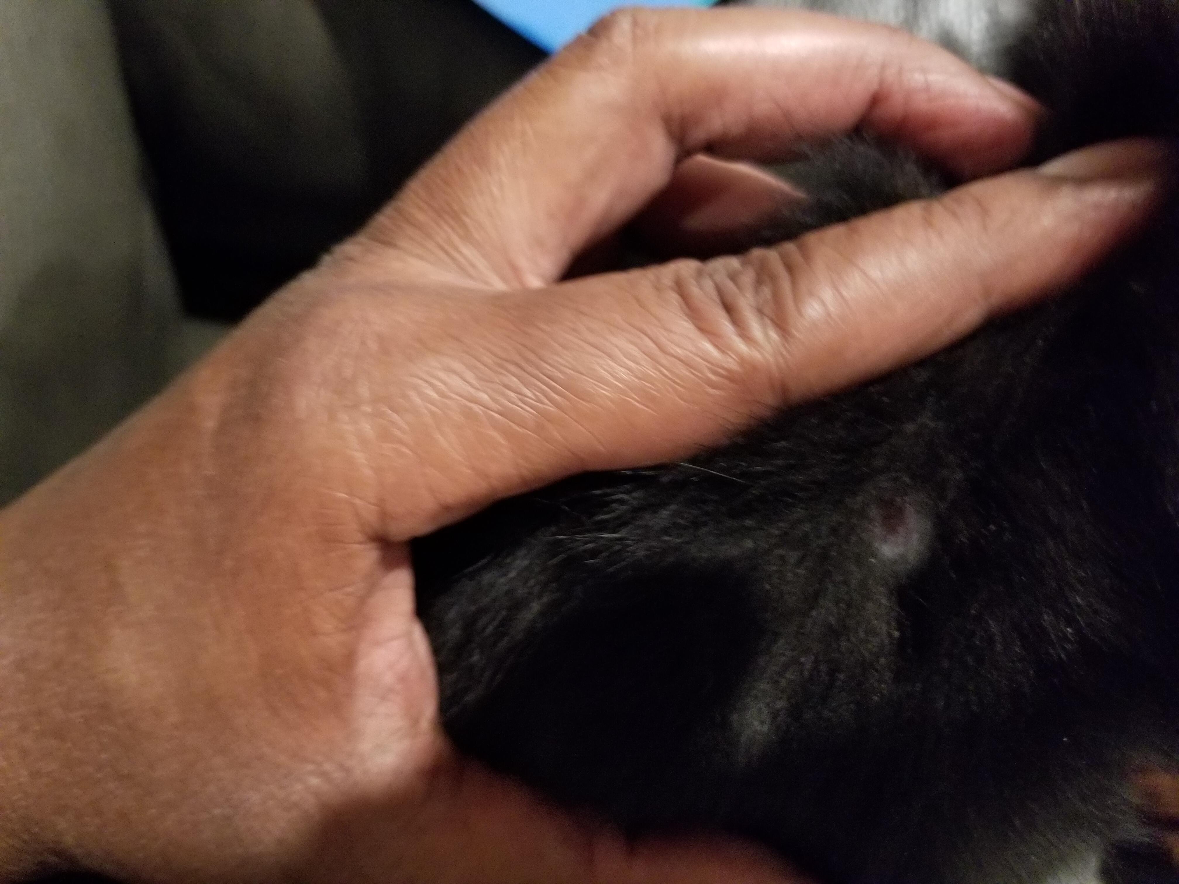 Question details sensitive content