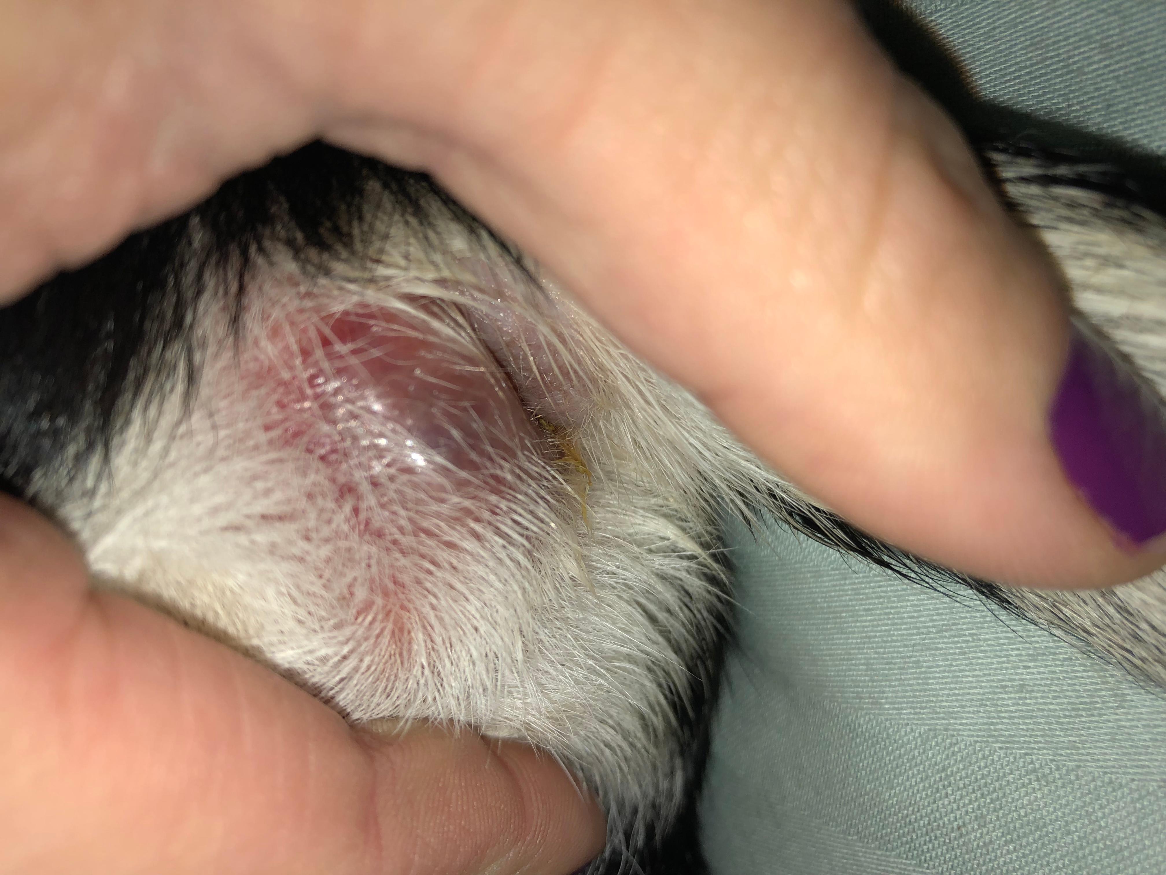 Question details sensitive content