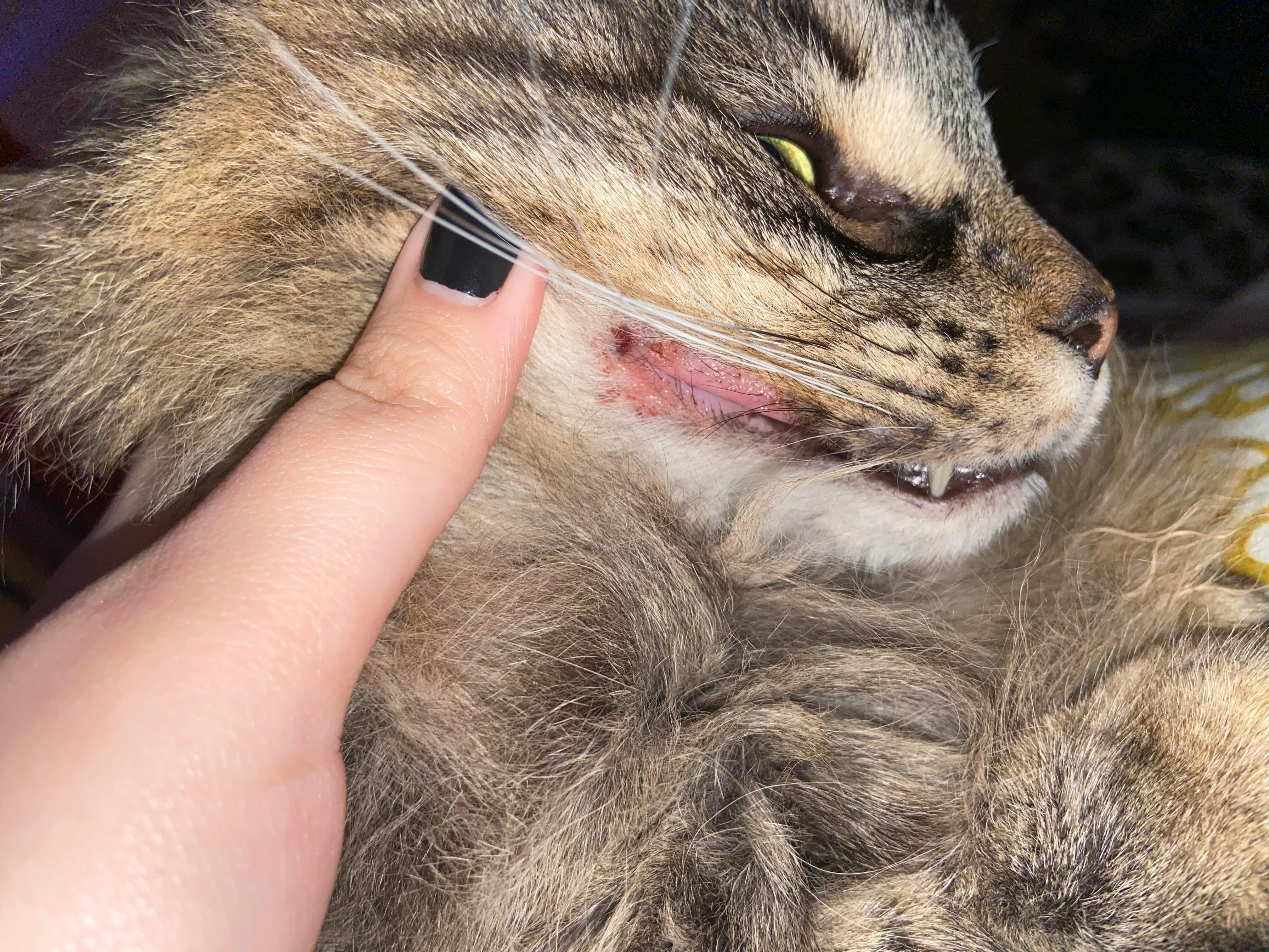 Question details sensitive content