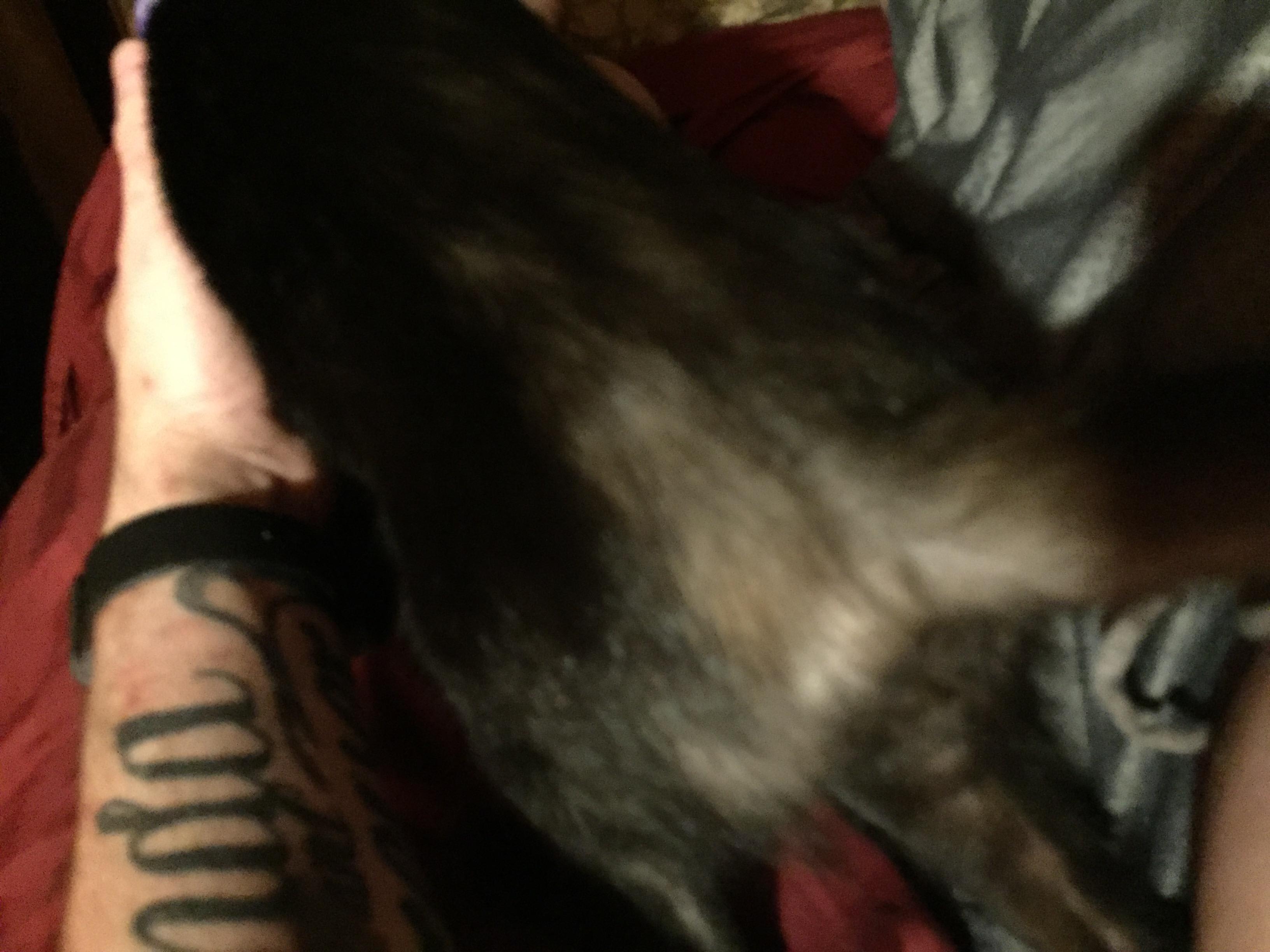 Question details sensitive content