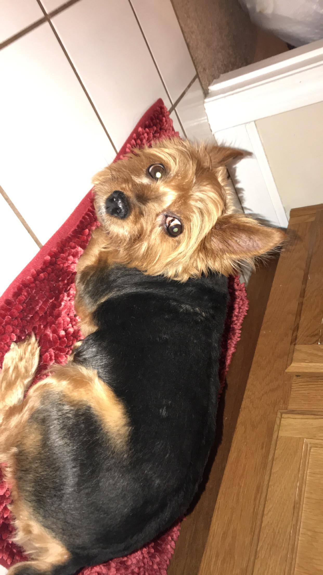 Question details sensitive content