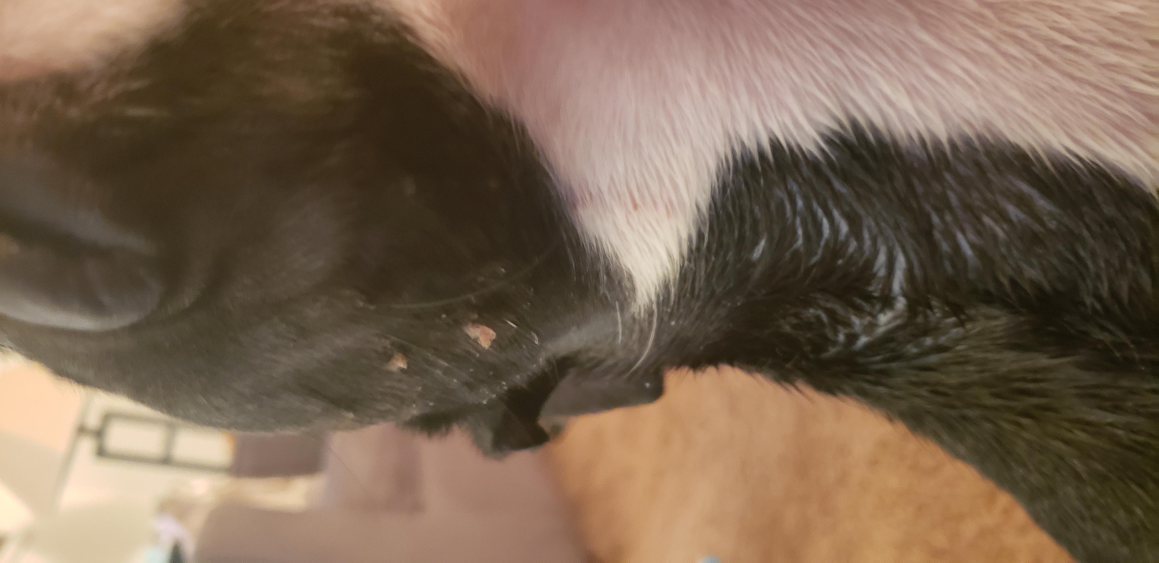 Question details sensitive content