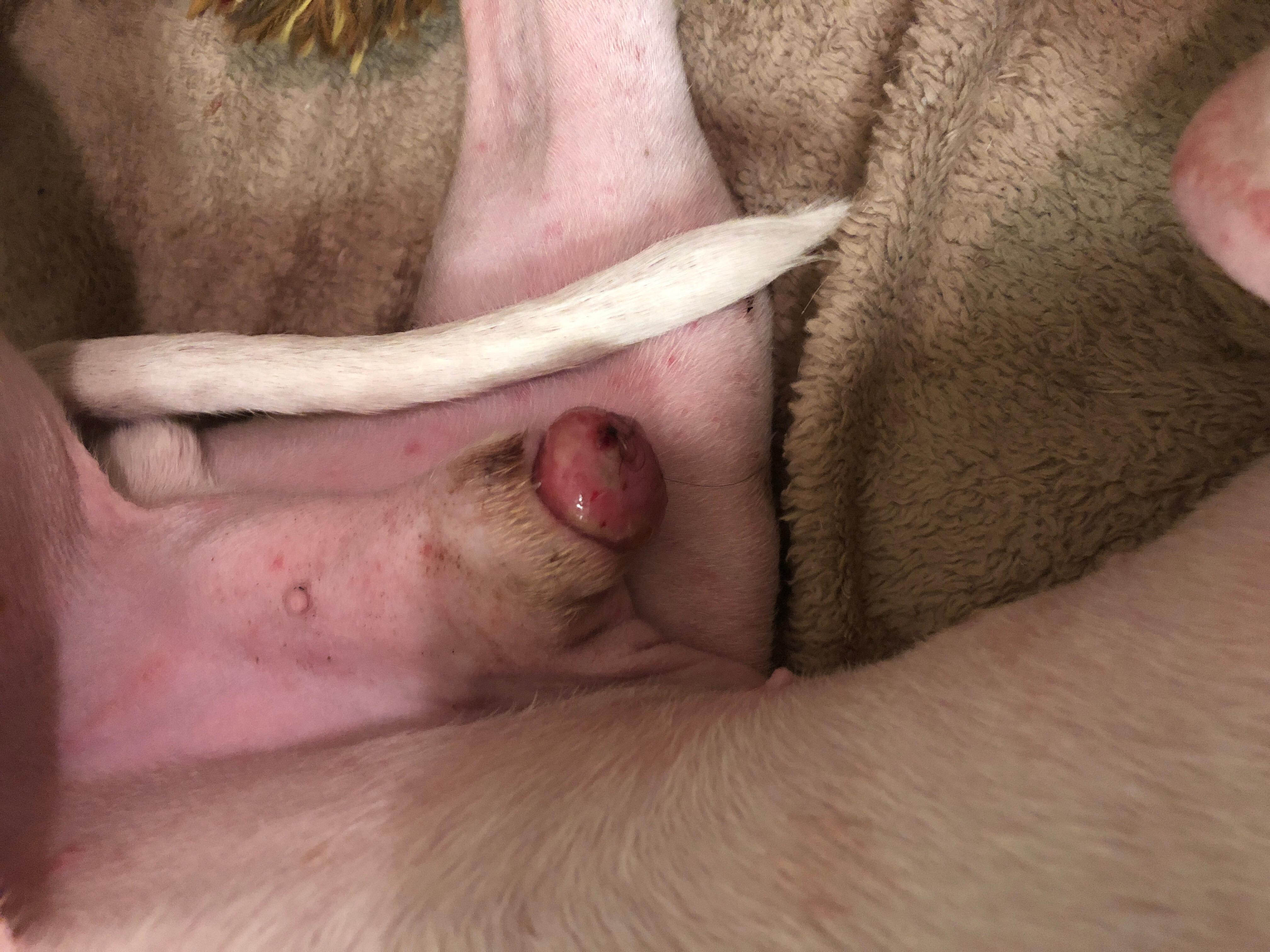 Question details sensitive content