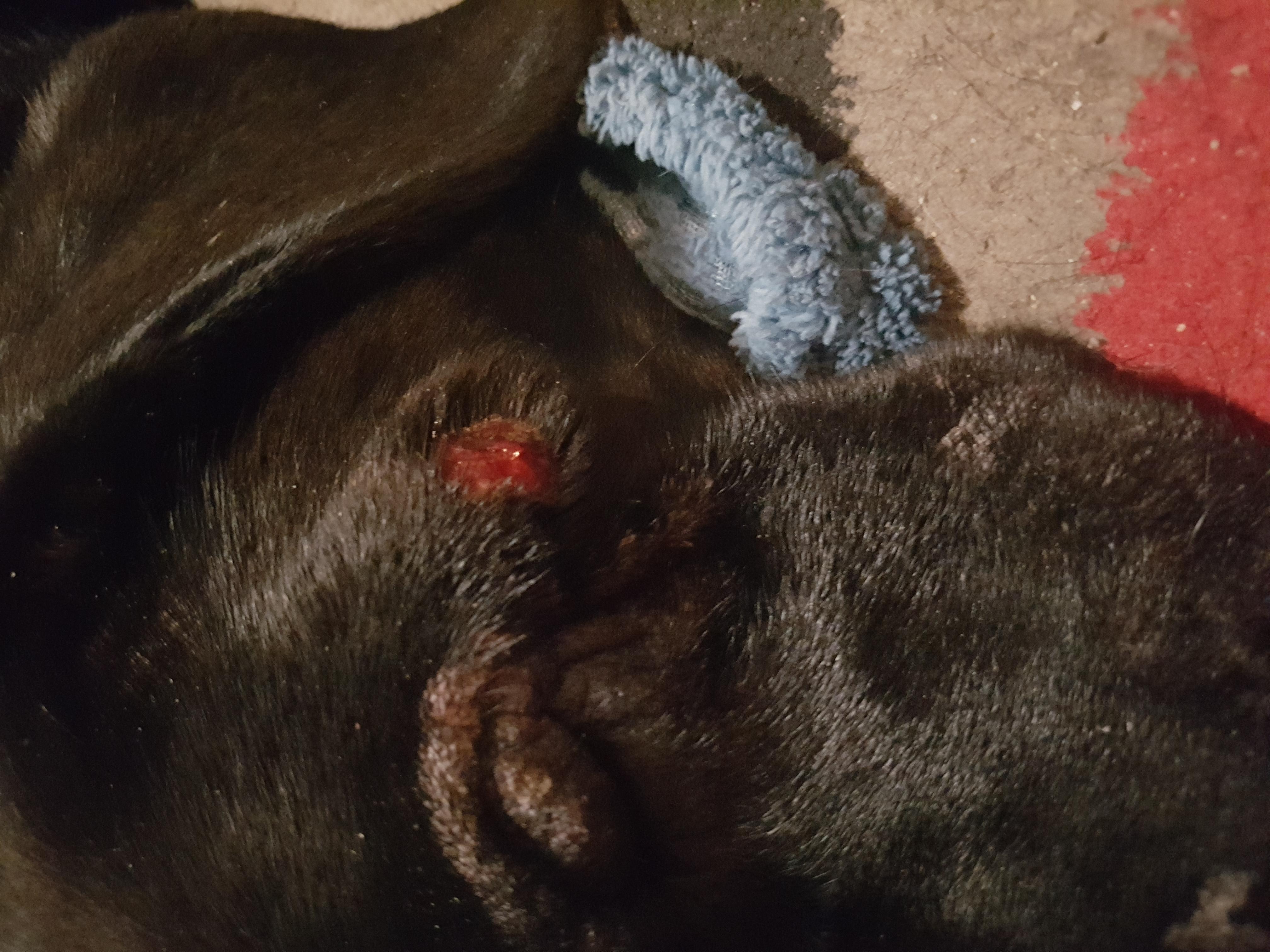 Question details sensitive content