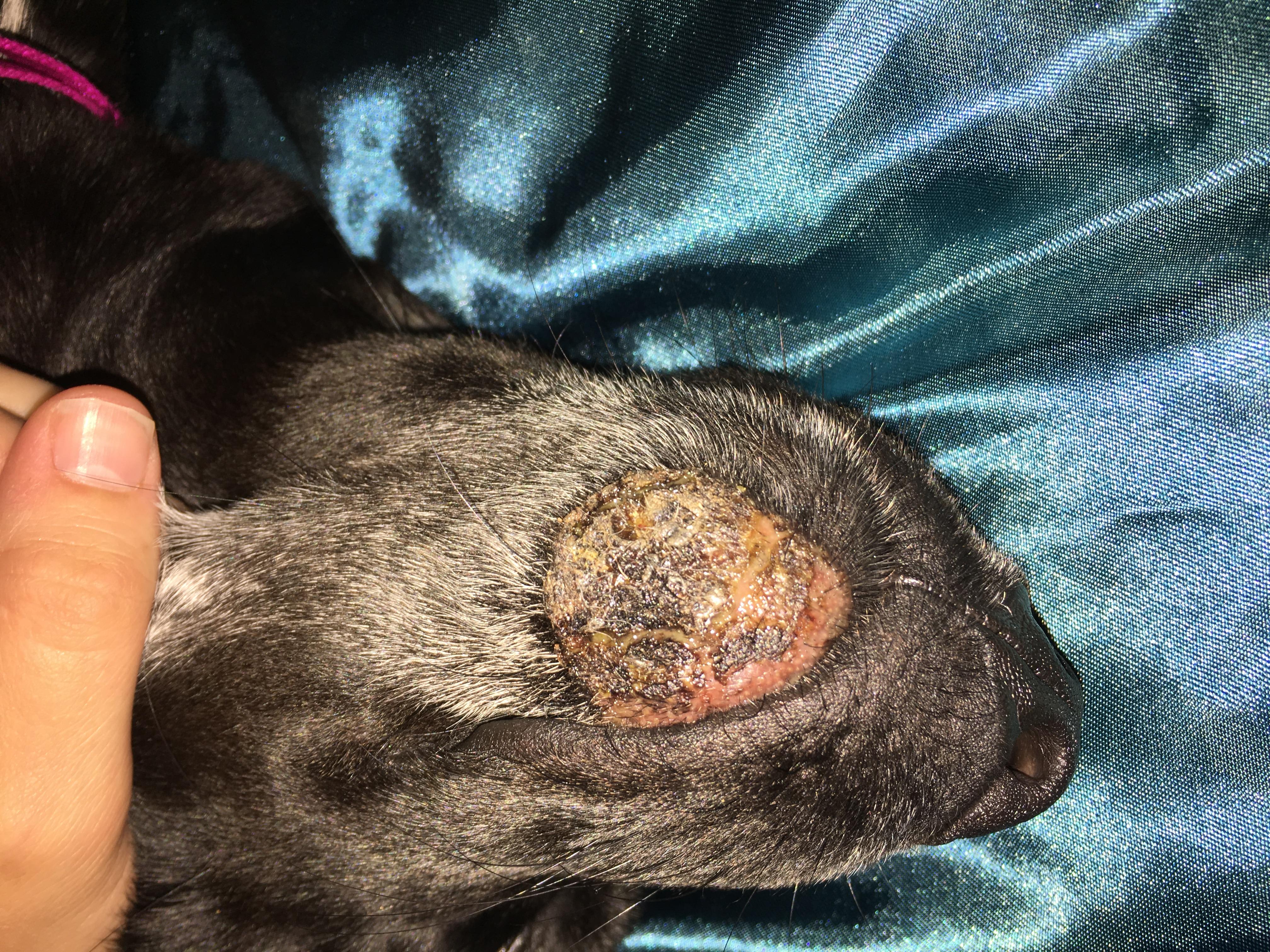 Question details sensitive content