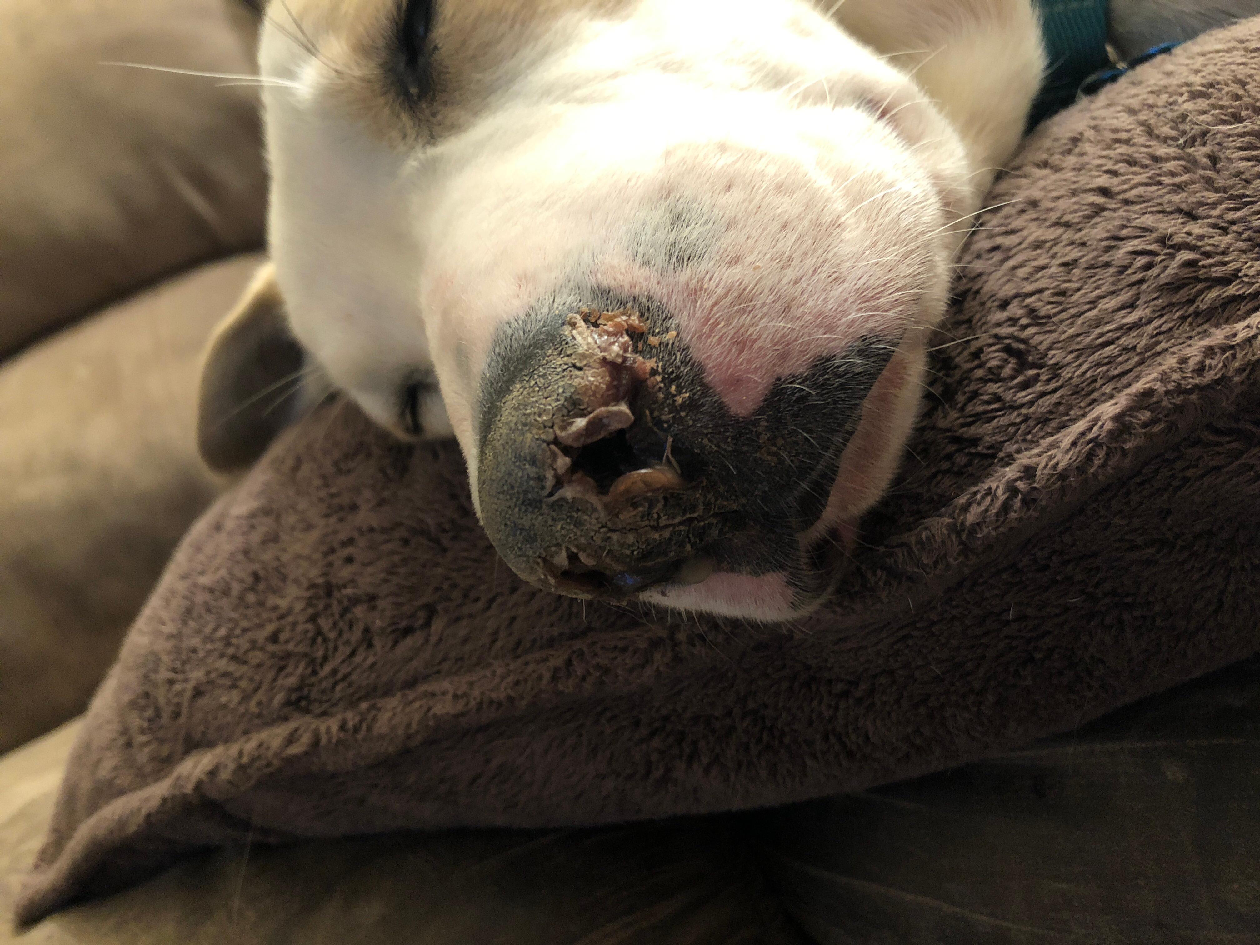 Question details sensitive content