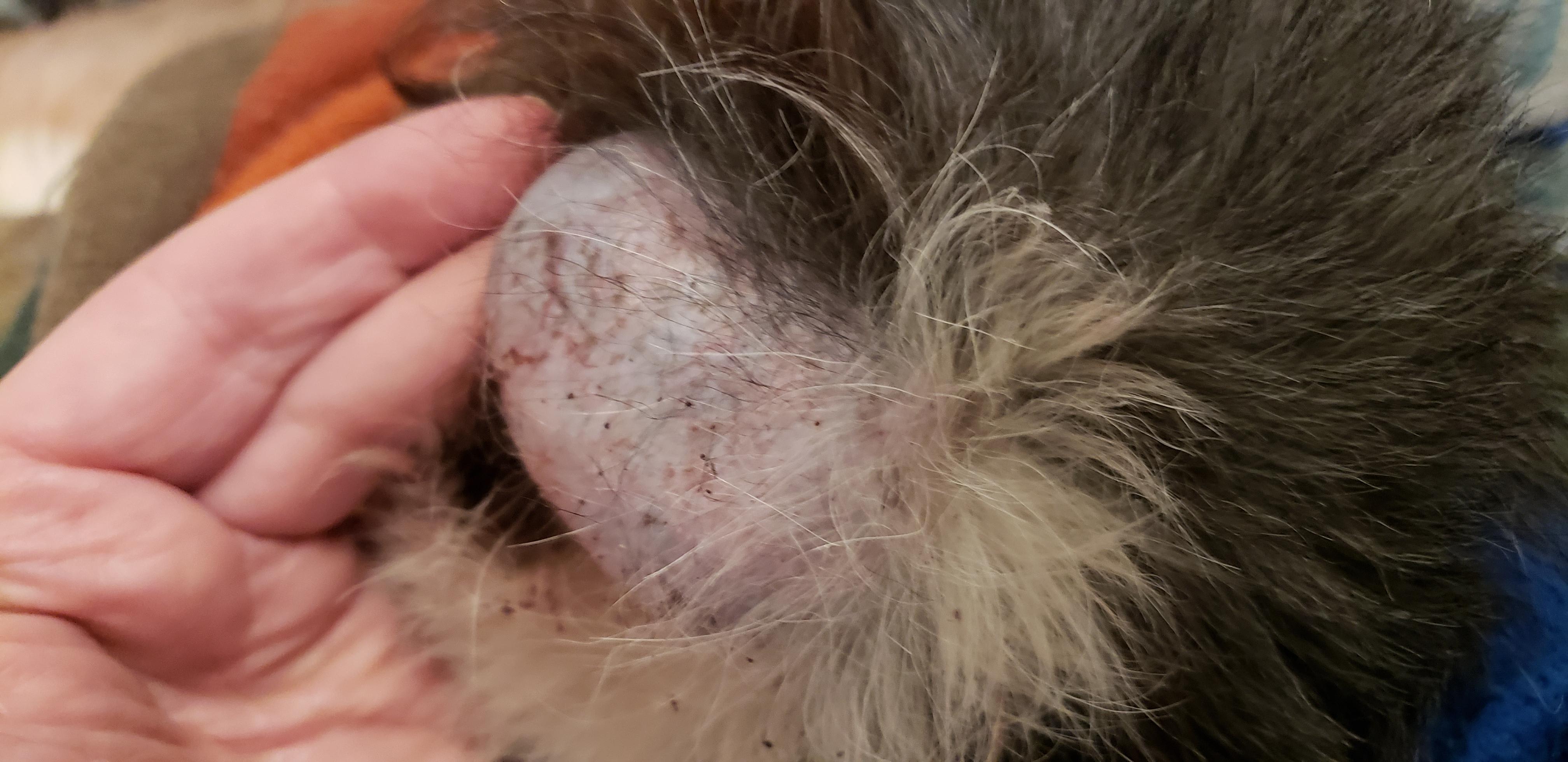 Question details sensitive content