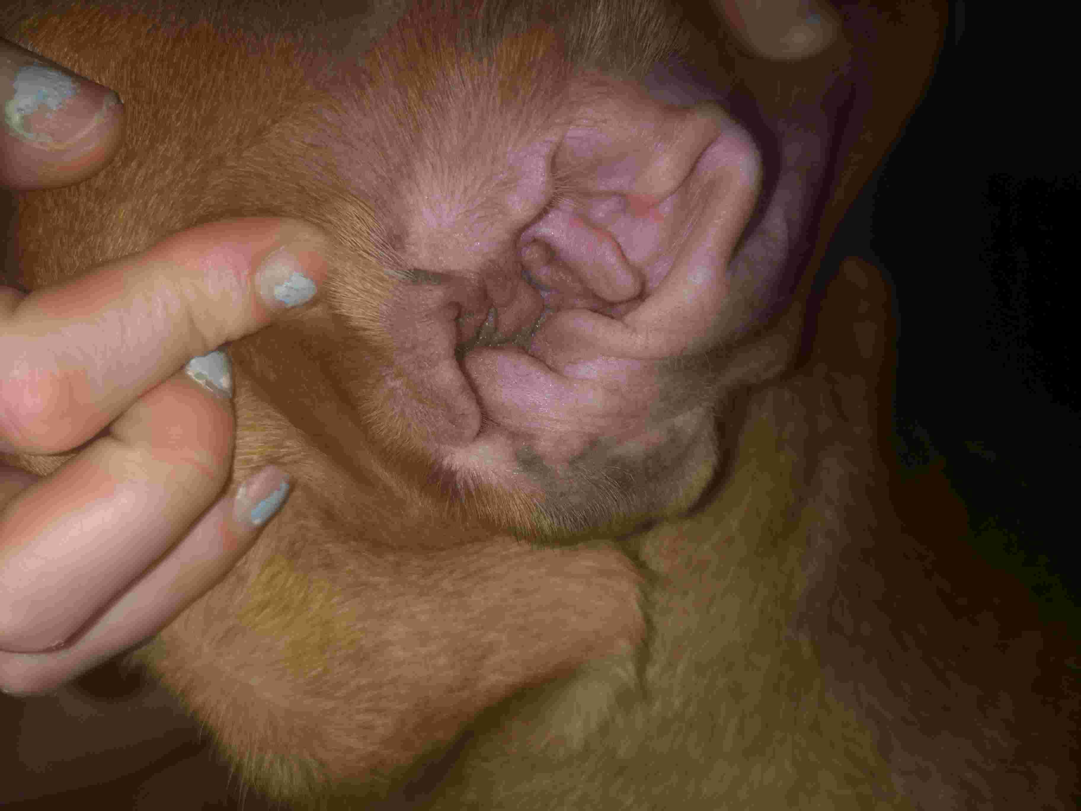 Question details sensitive content