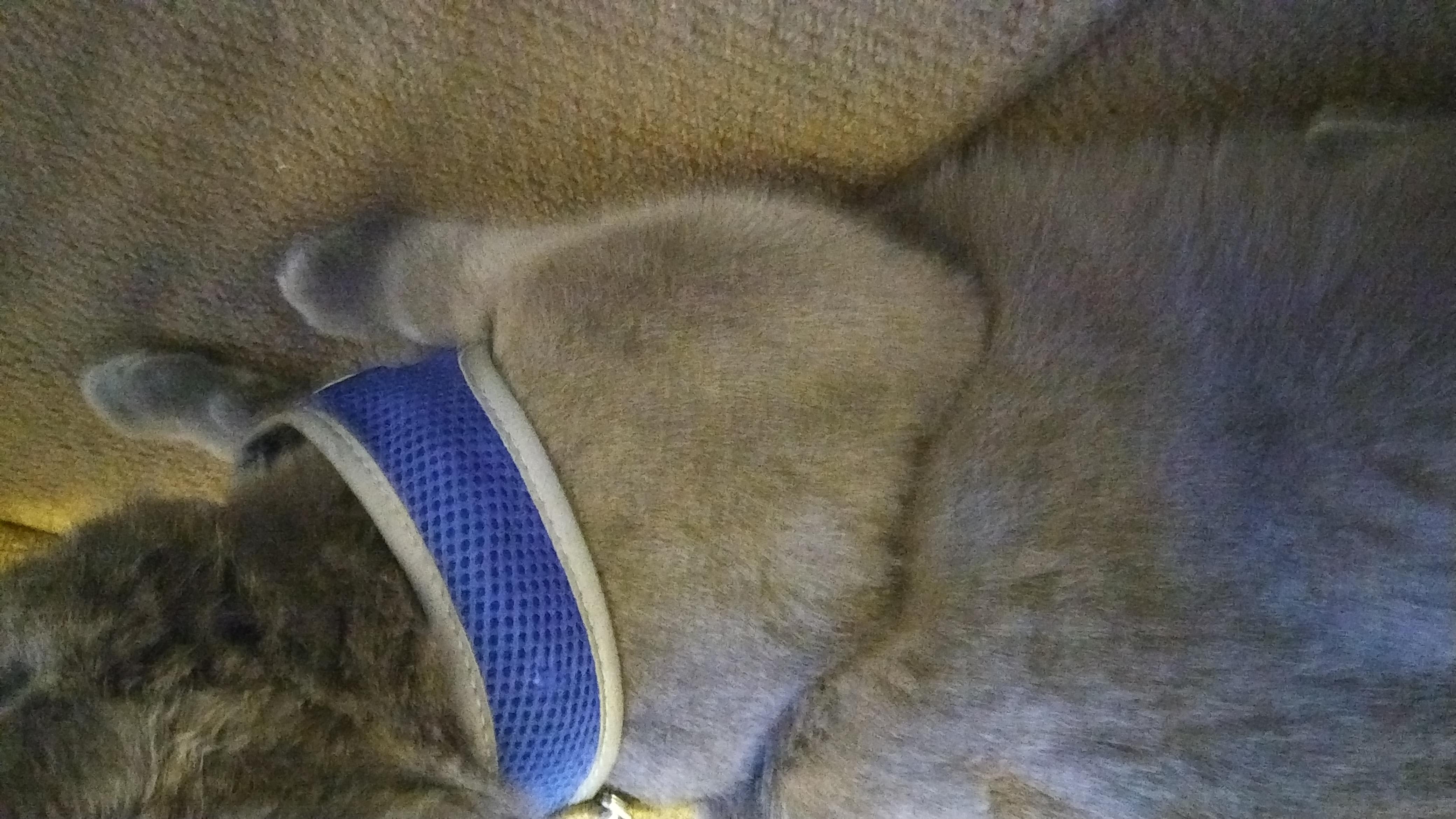 Question details sensitive content