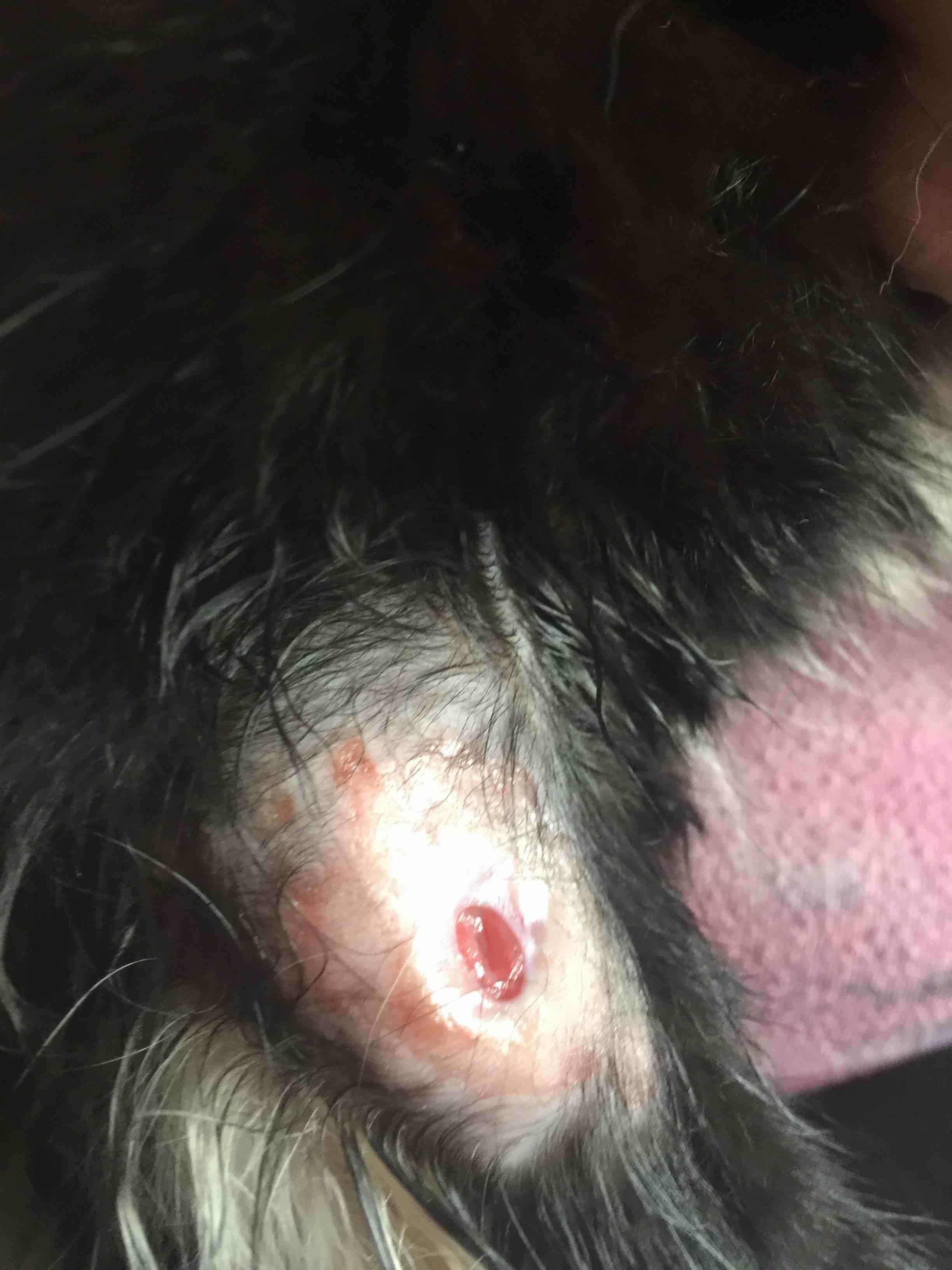 Question details sensitive content