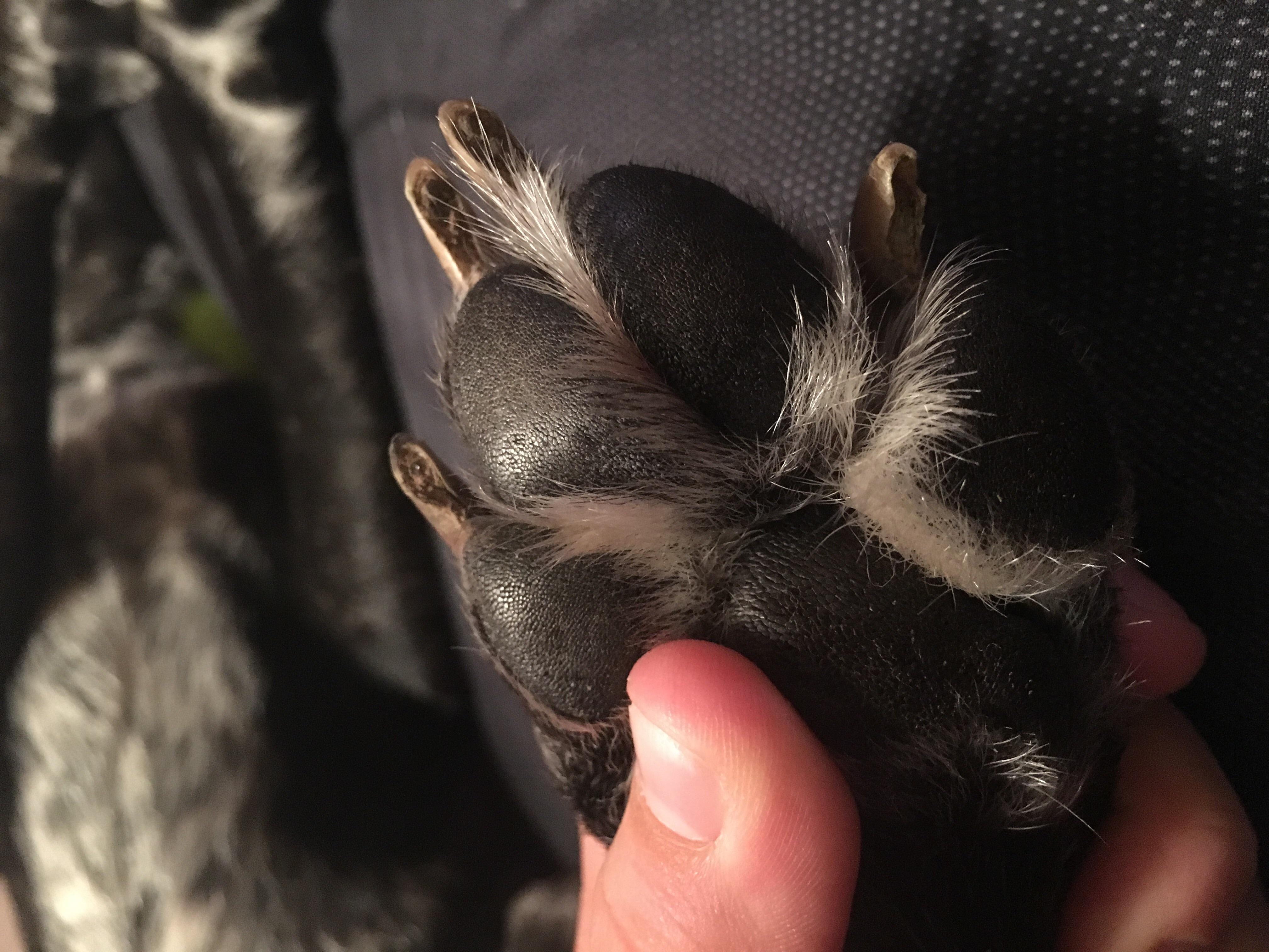 Question details sensitive content