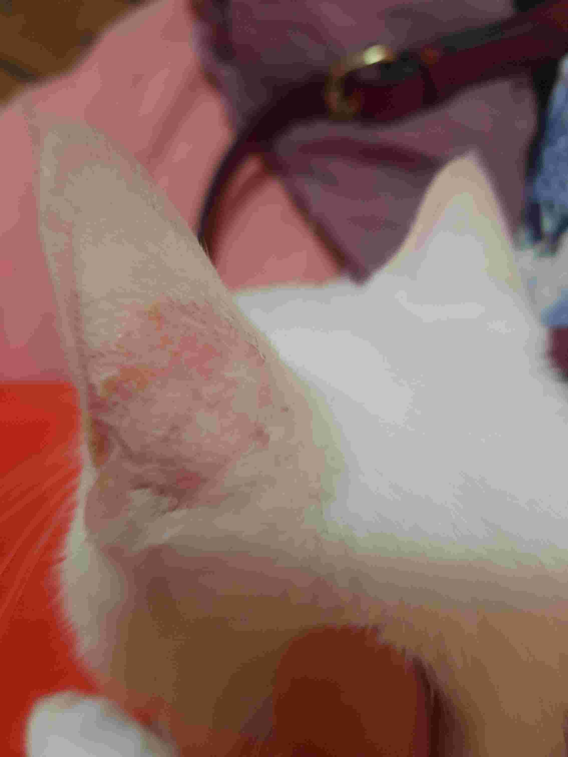 Question details sensitive content