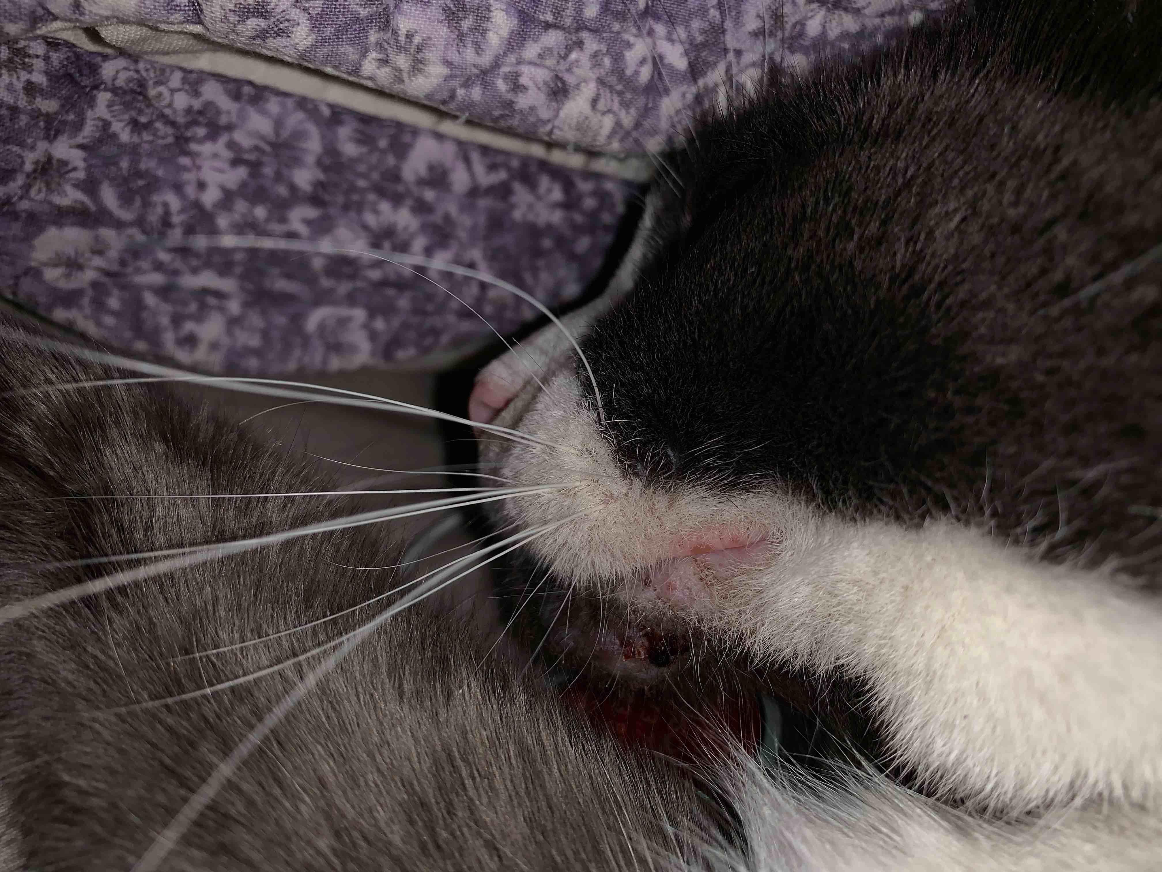 Question details sensitive content