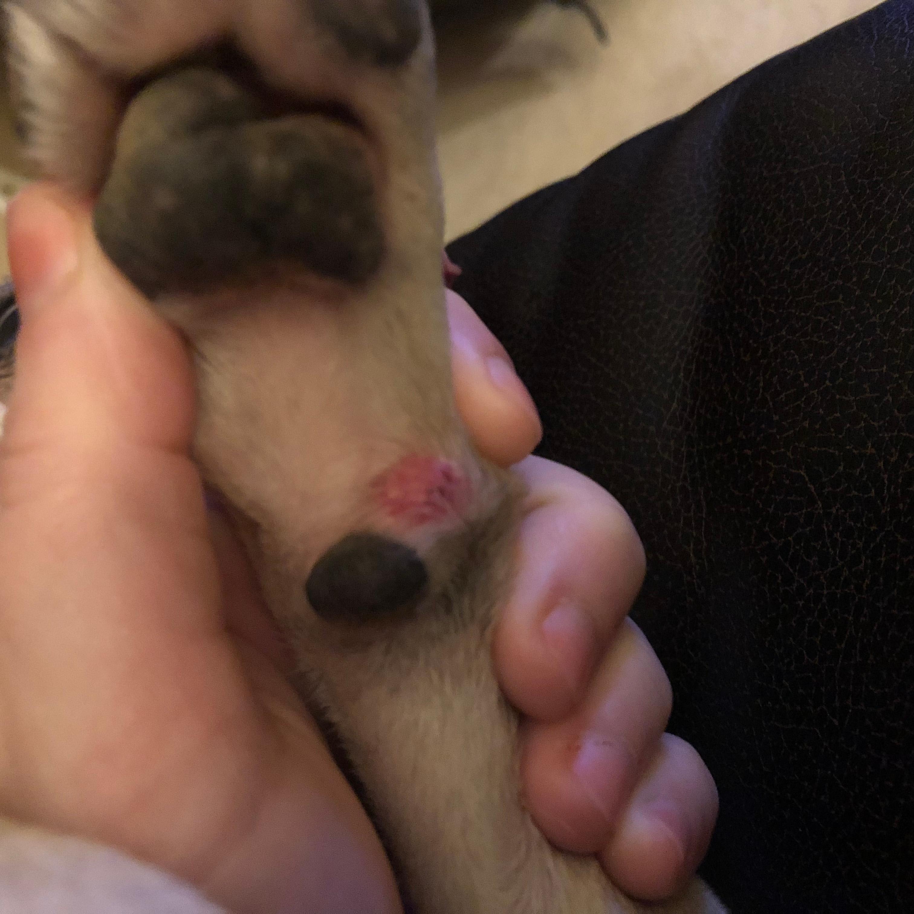 Question details sensitive content