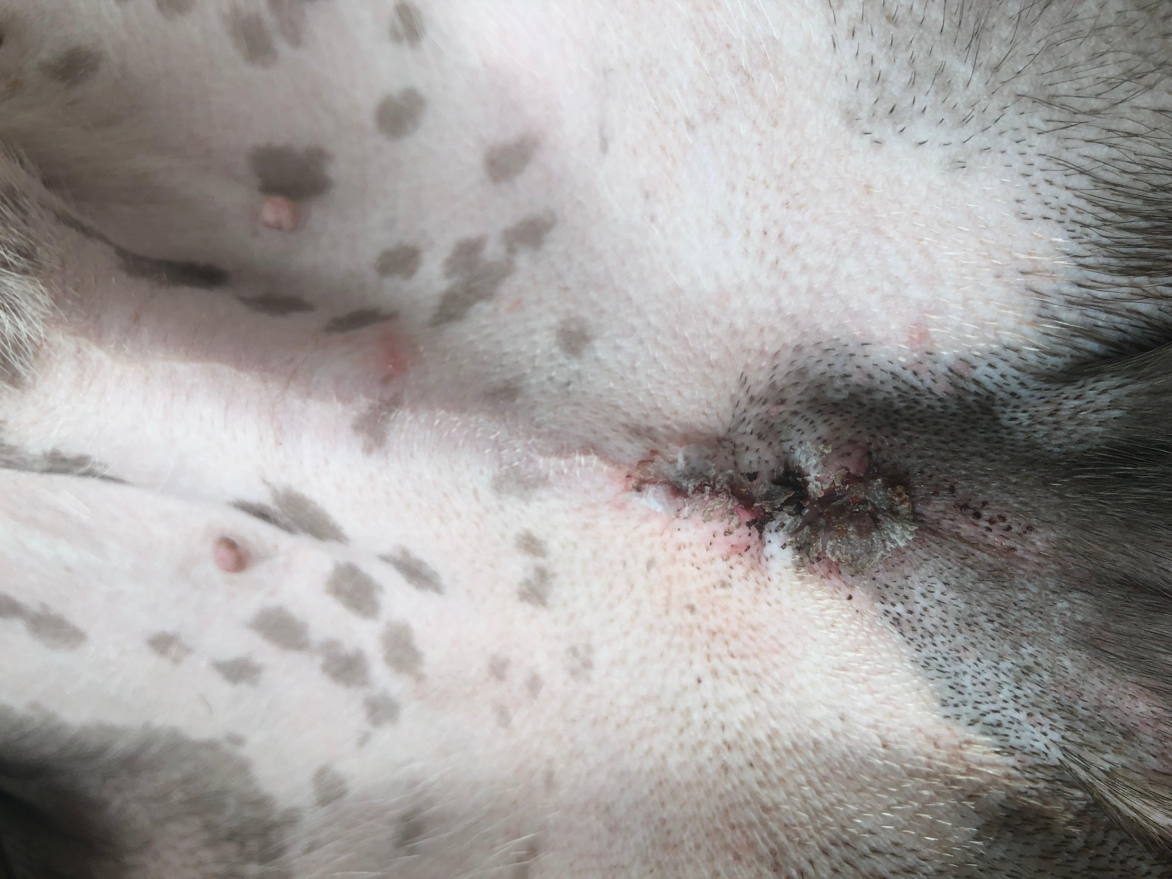 Question details sensitive content