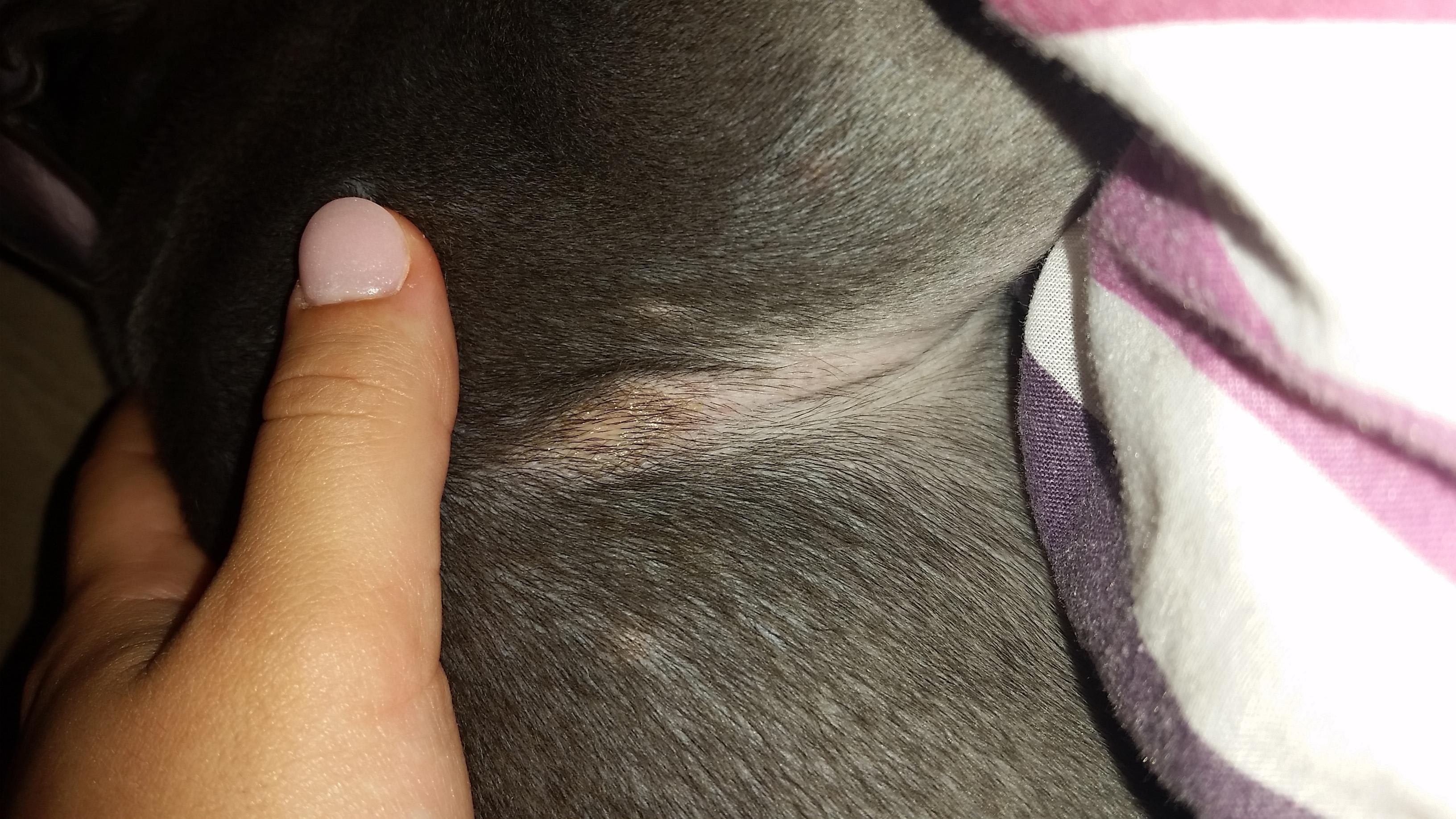 Question details sensitive content