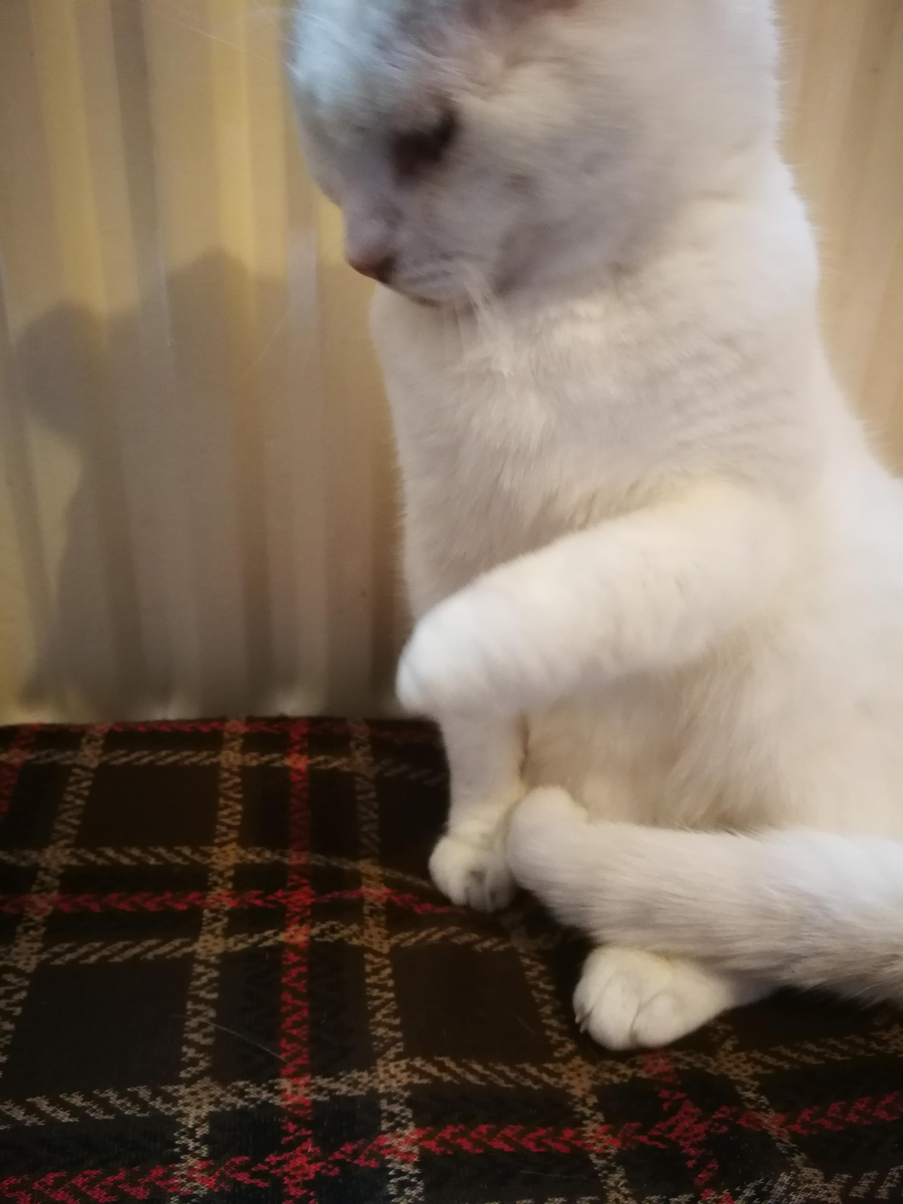 Question details sensitive content