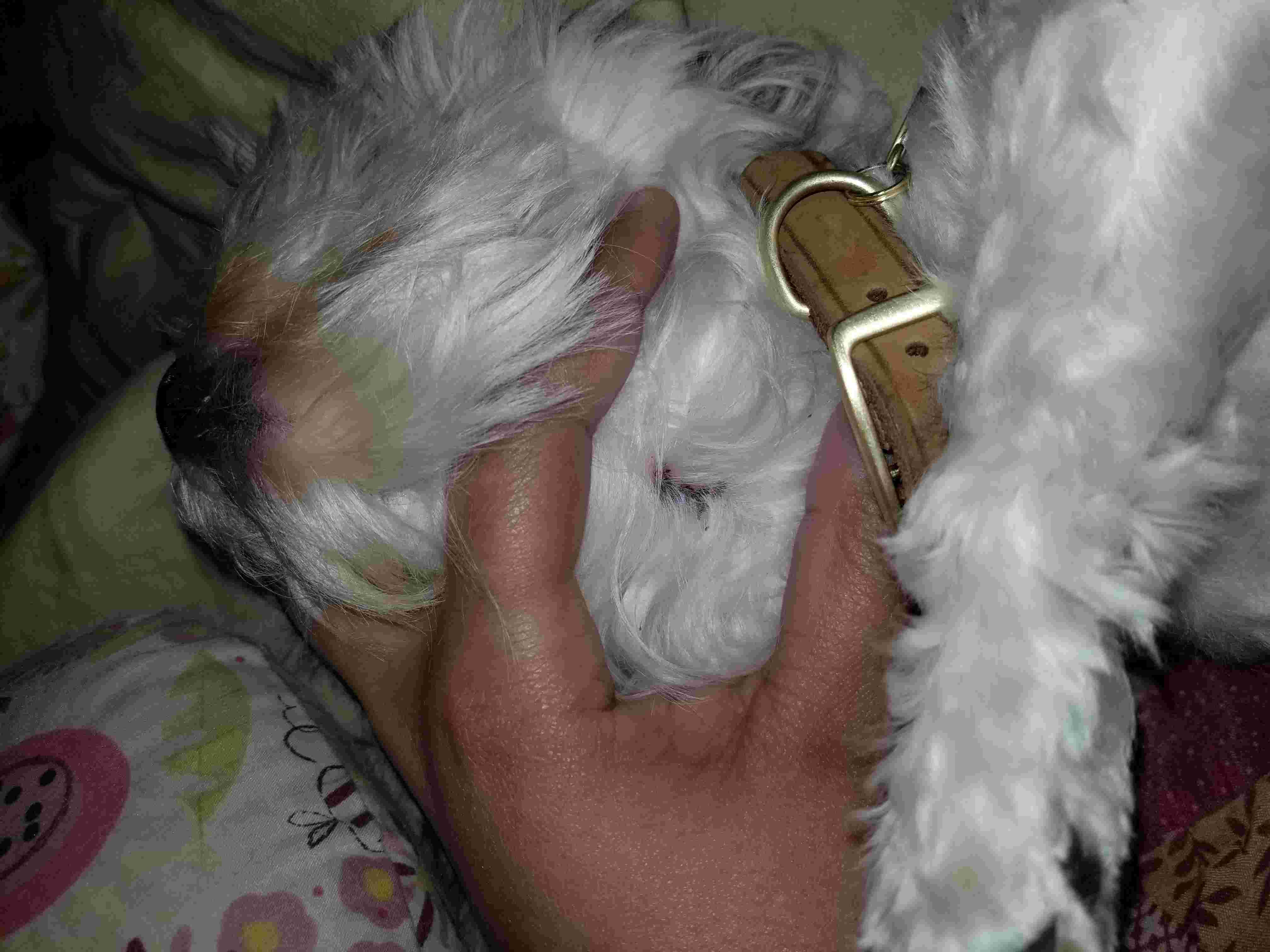 Question details sensitive content