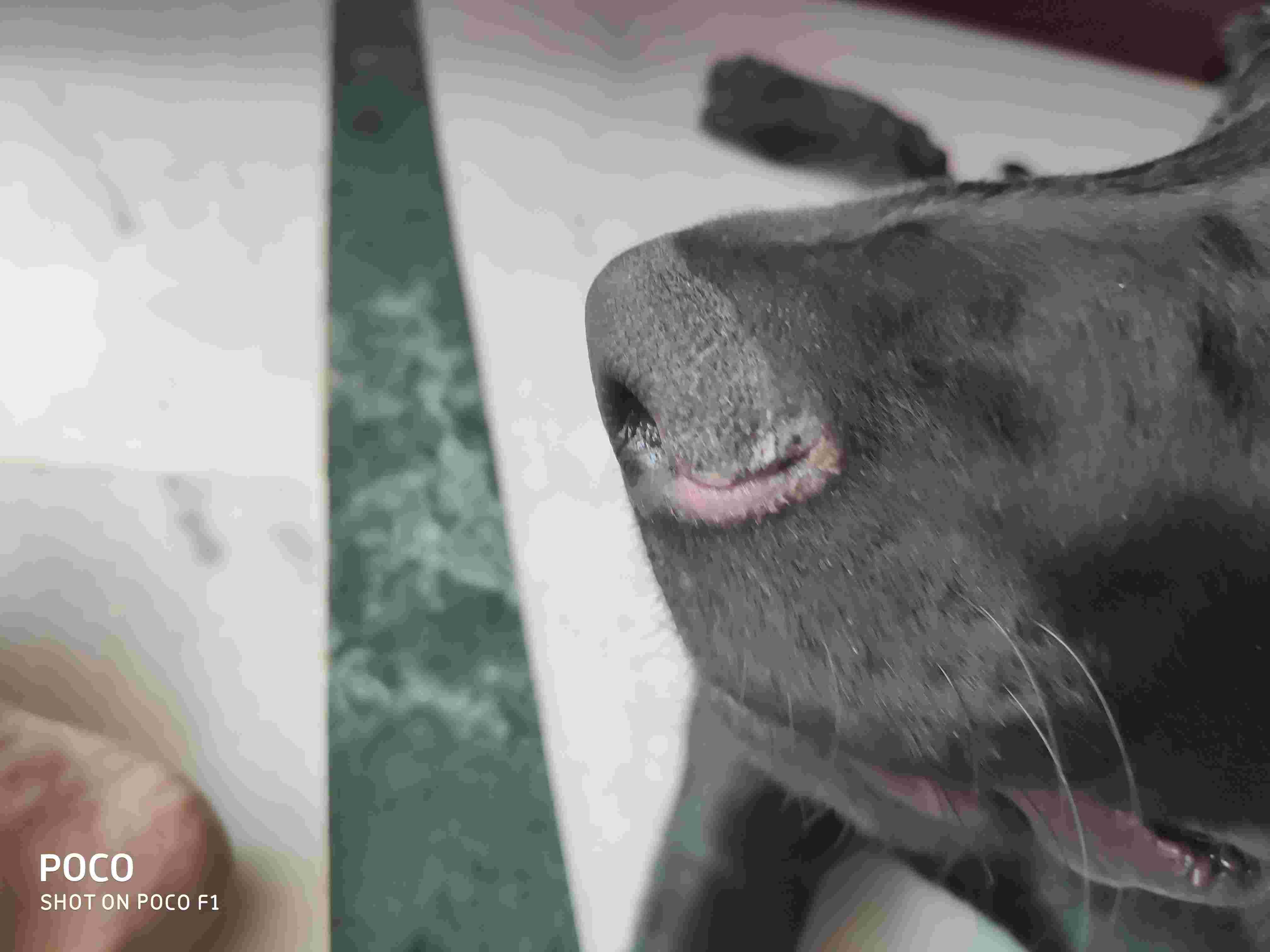 Question details sensitive content