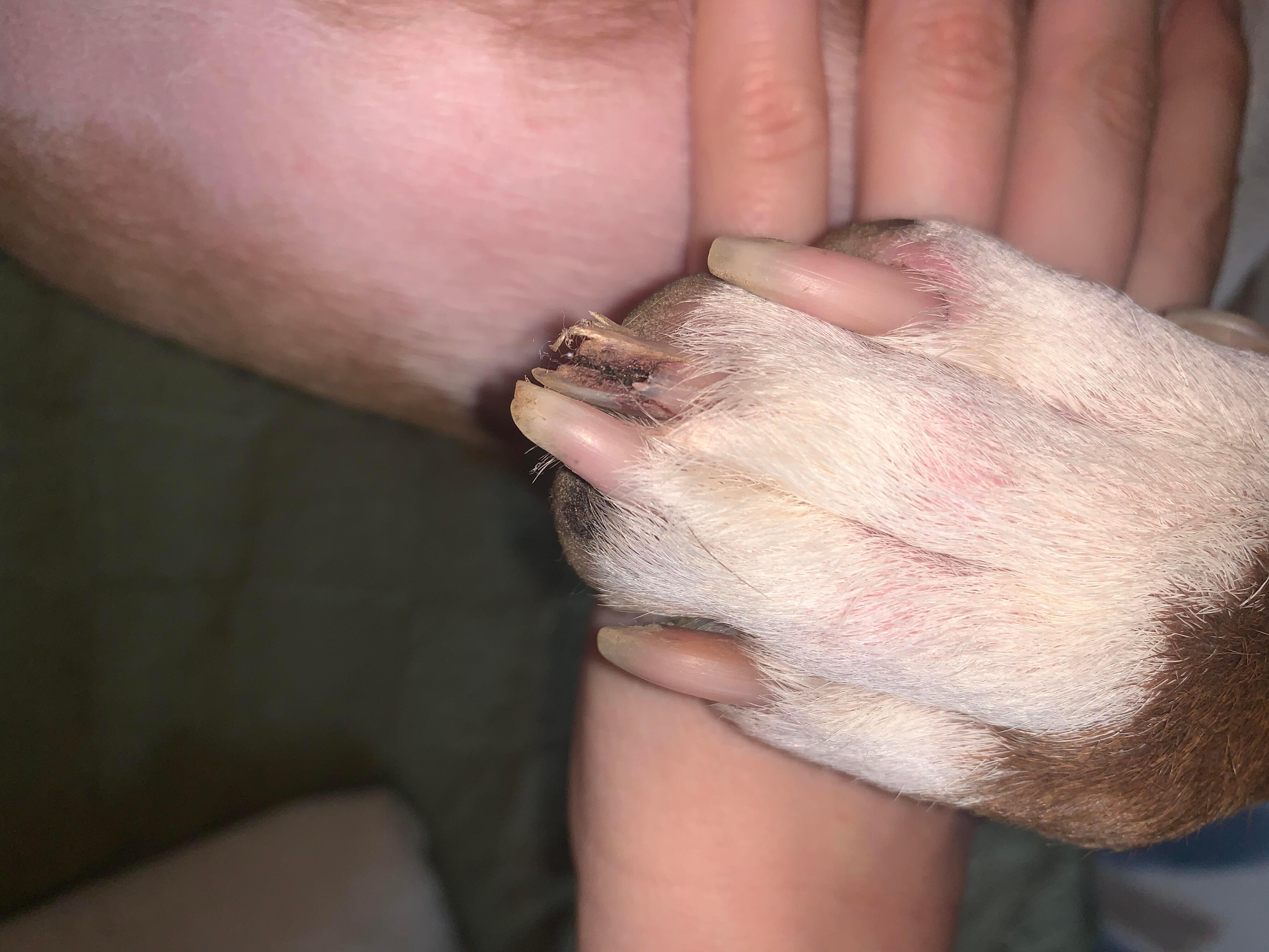 Question details sensitive content