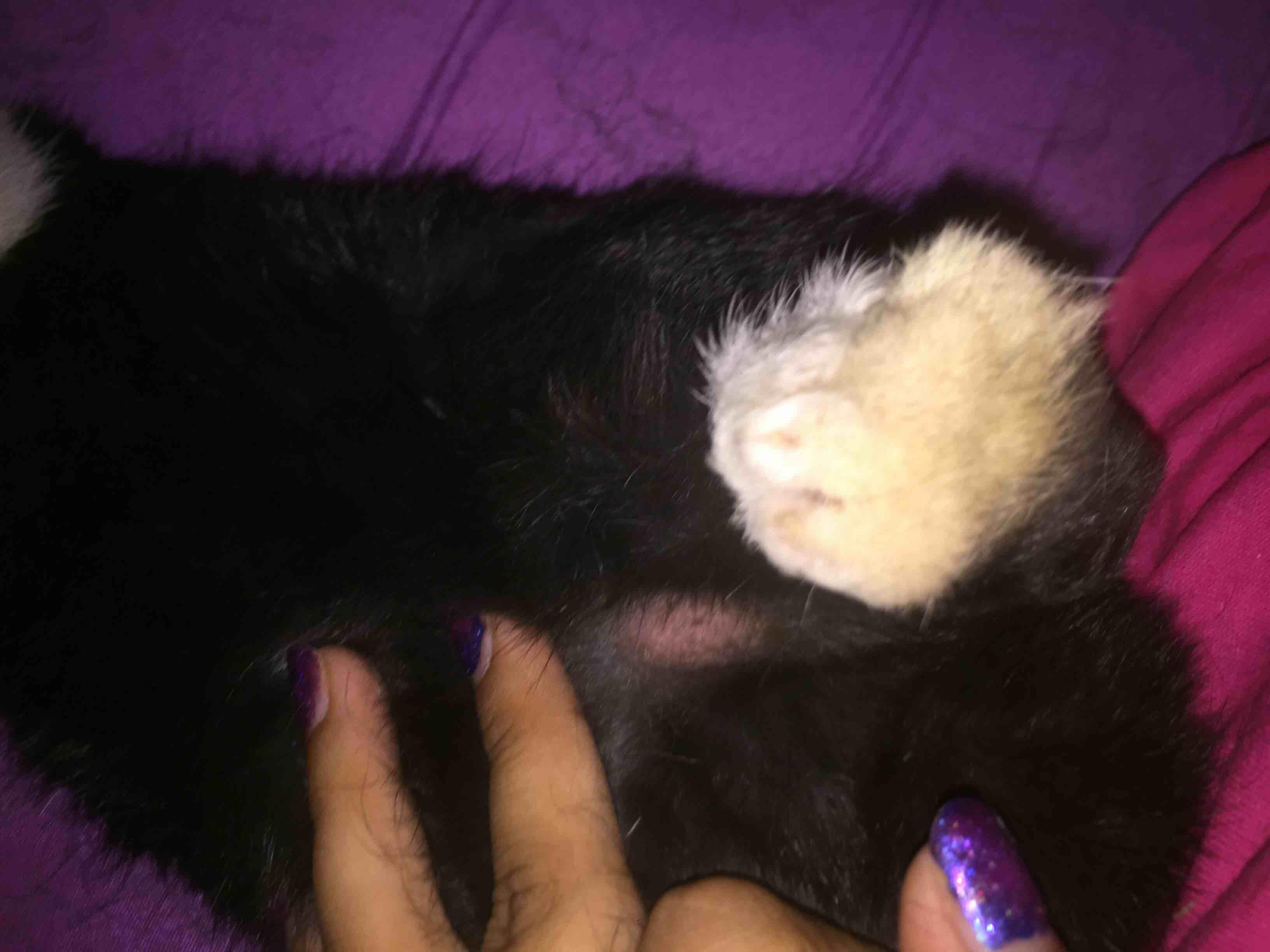 Question details sensitive content