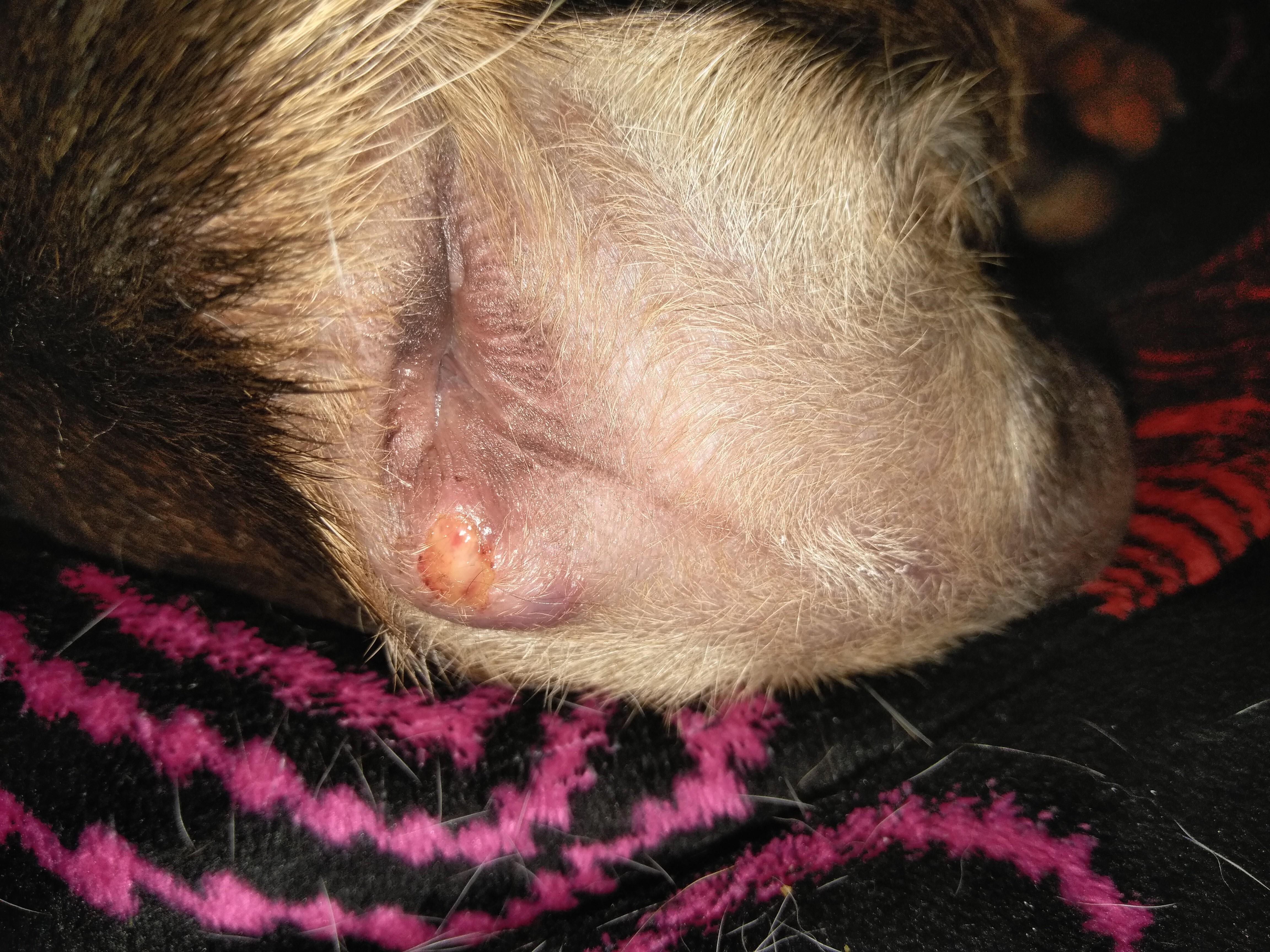 Question details sensitive content