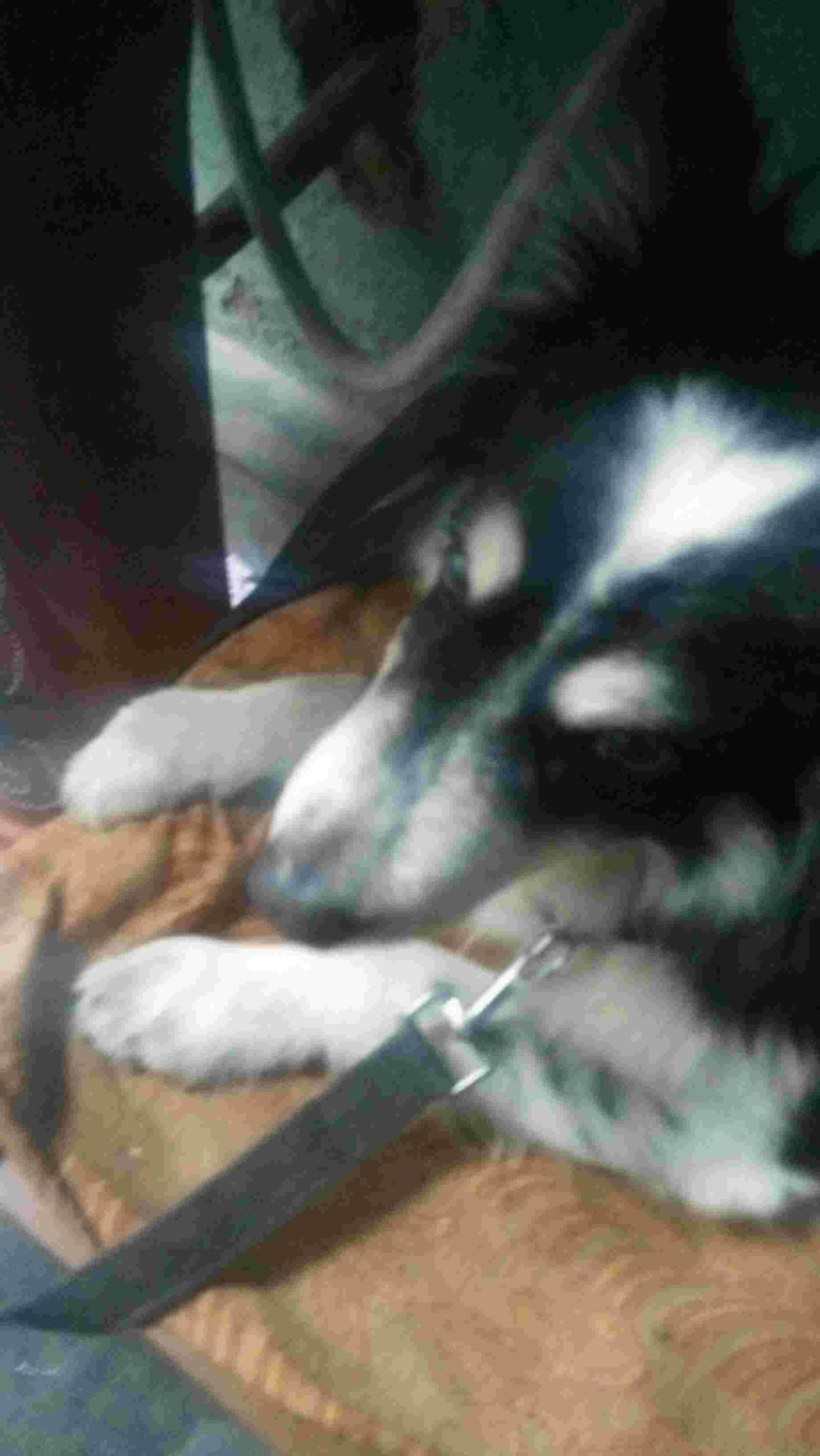 Question details sensitive content