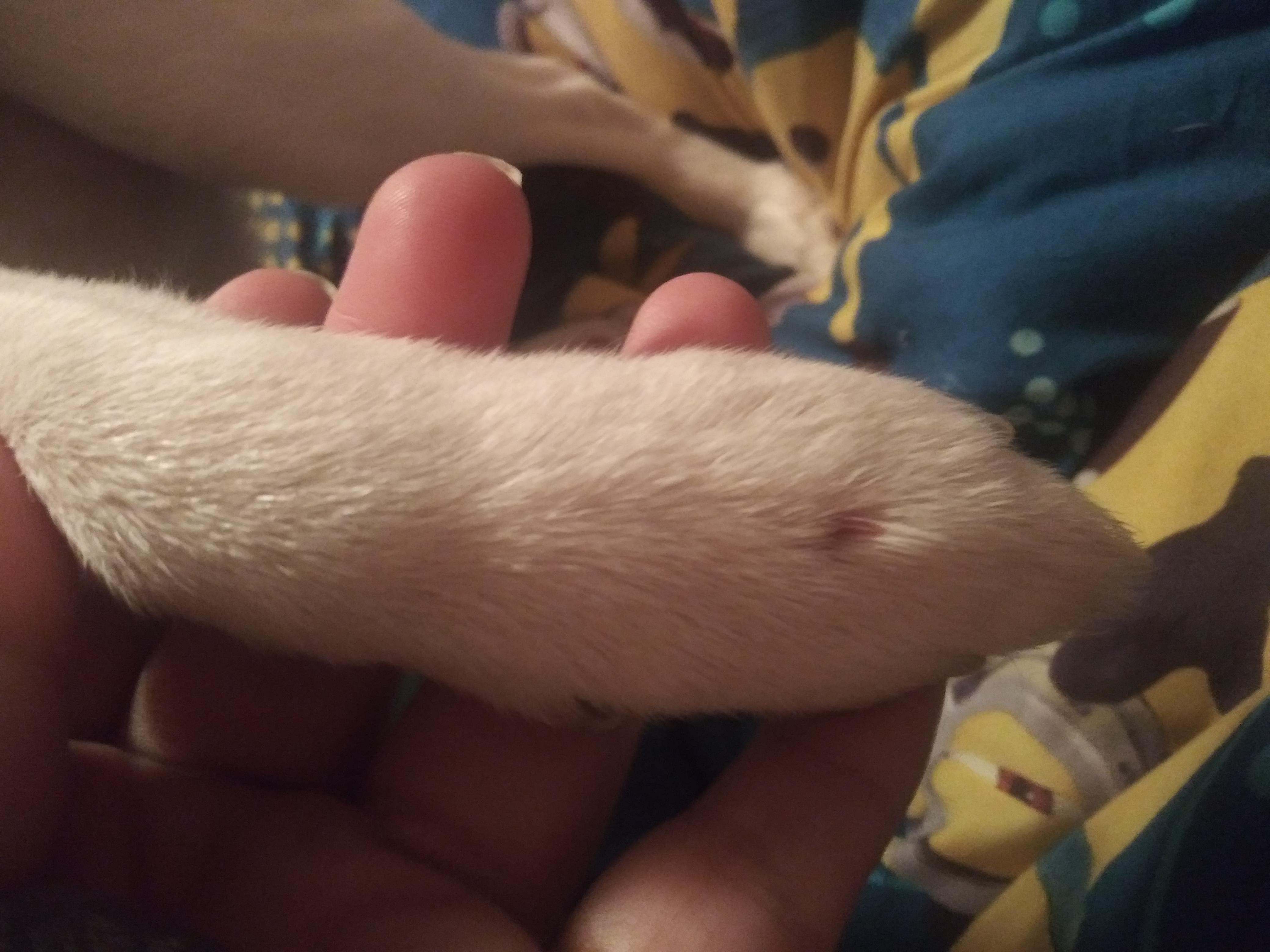 Question details sensitive content