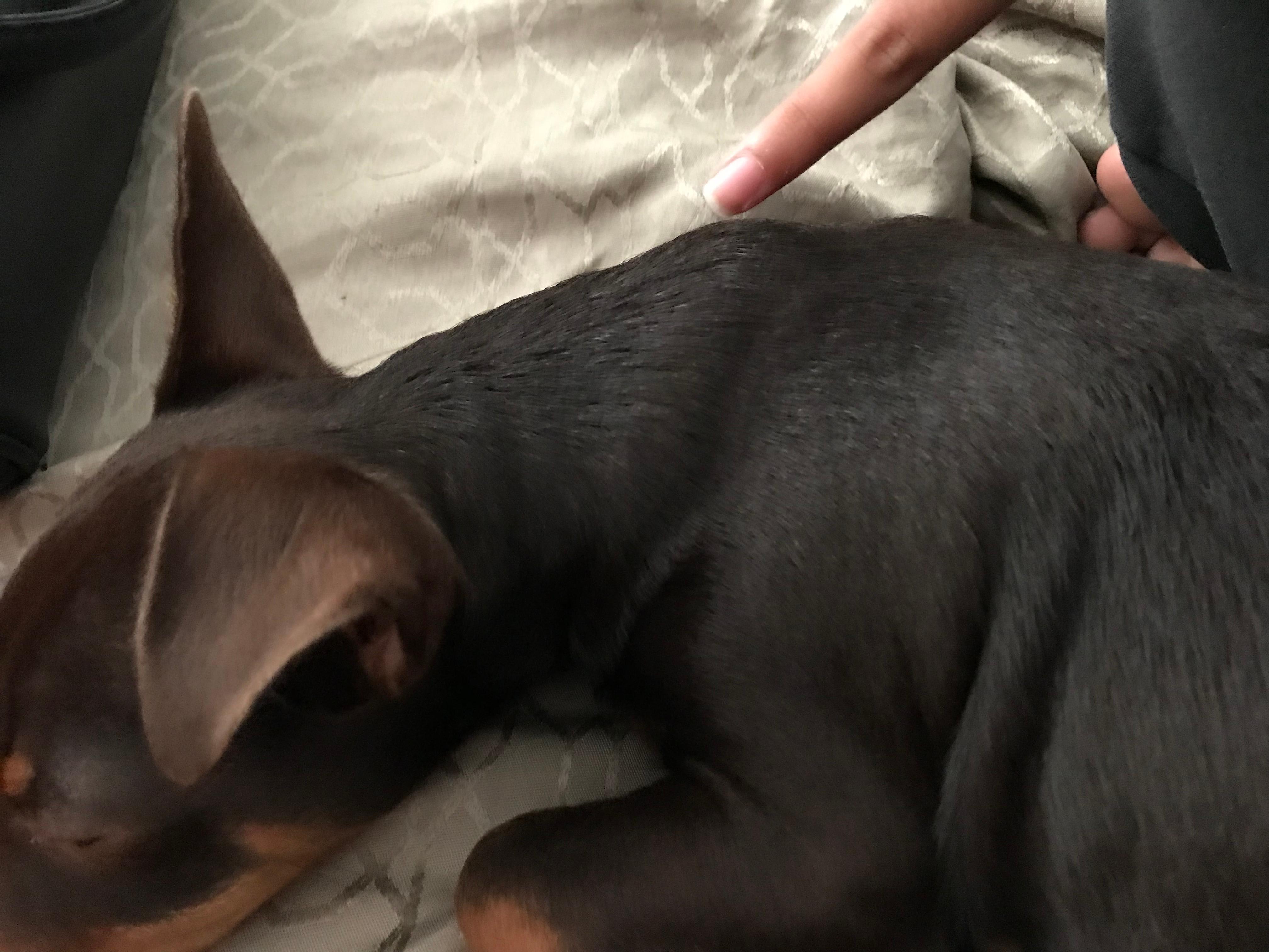 Question details sensitive content