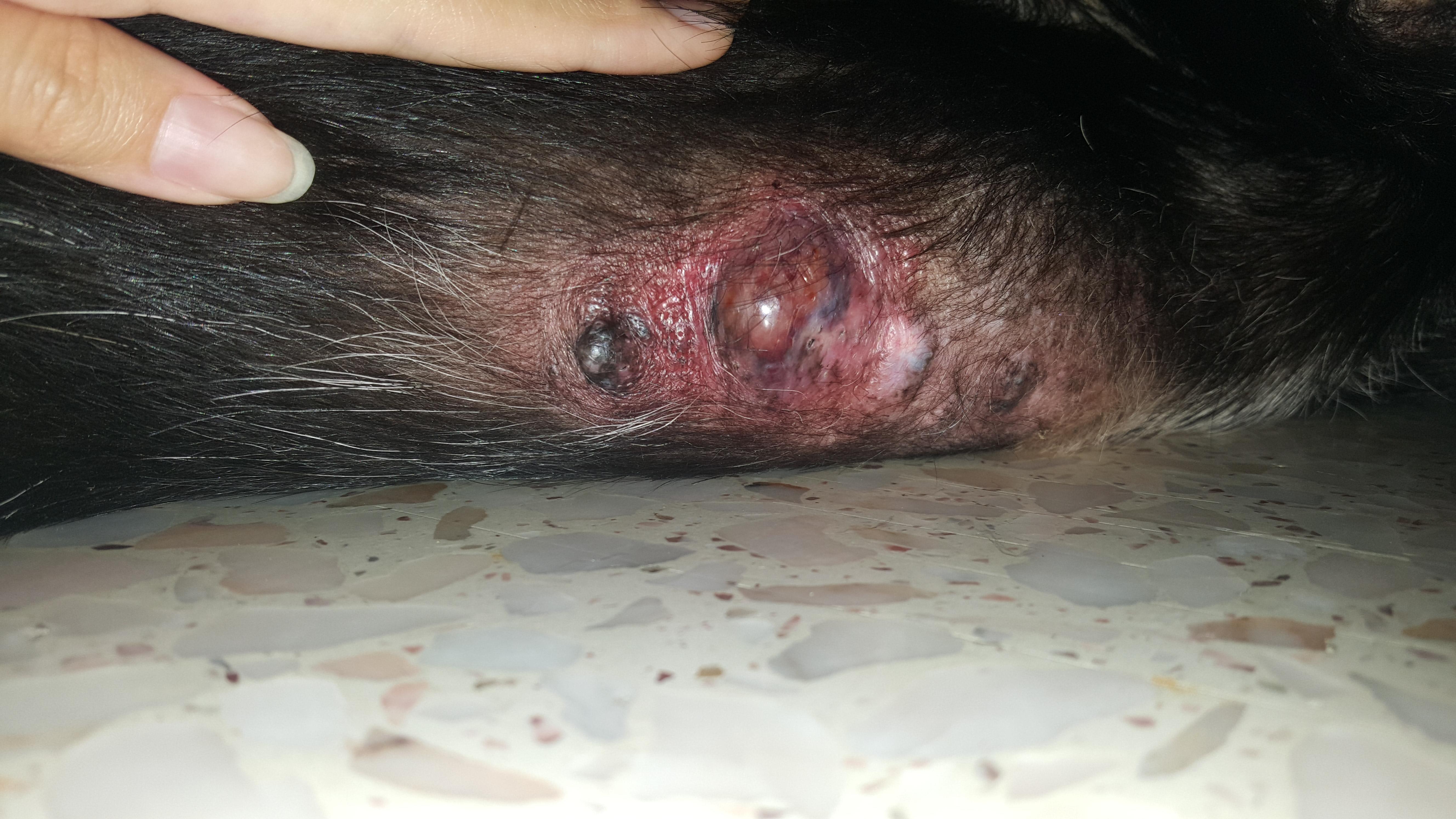 Question details sensitive content